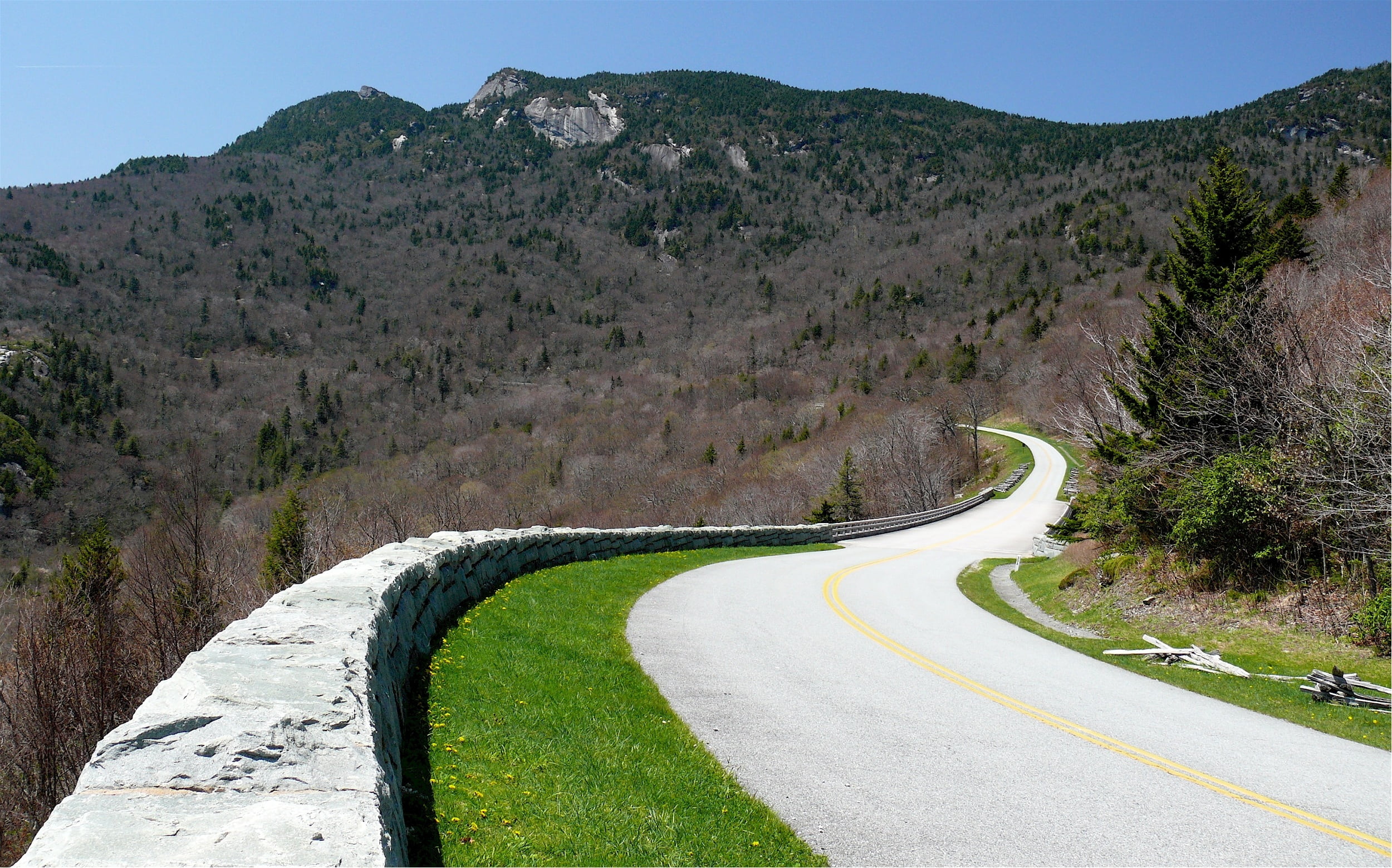 highway, virginia, tree, no people, mountain, southern, travel, tourism, picturesque, land, trees, nature, beauty in nature, winding road, empty road, america, HD Wallpaper