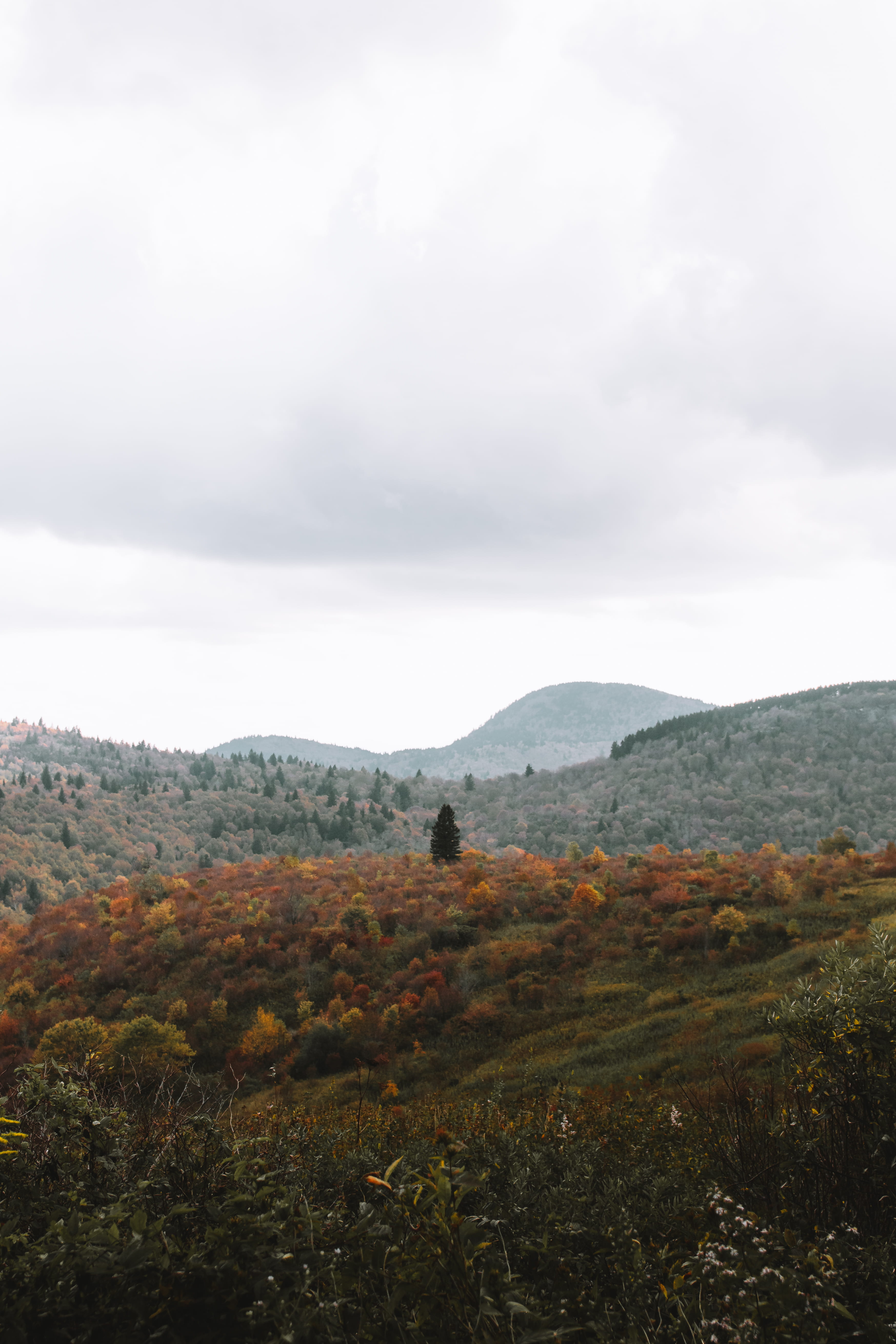 forest, orange, mood, clouds, land, autumn, blue ridge parkway, beauty in nature, colors, plant, no people, tranquility, day, blue, non-urban scene, yellow, Phone HD Wallpaper