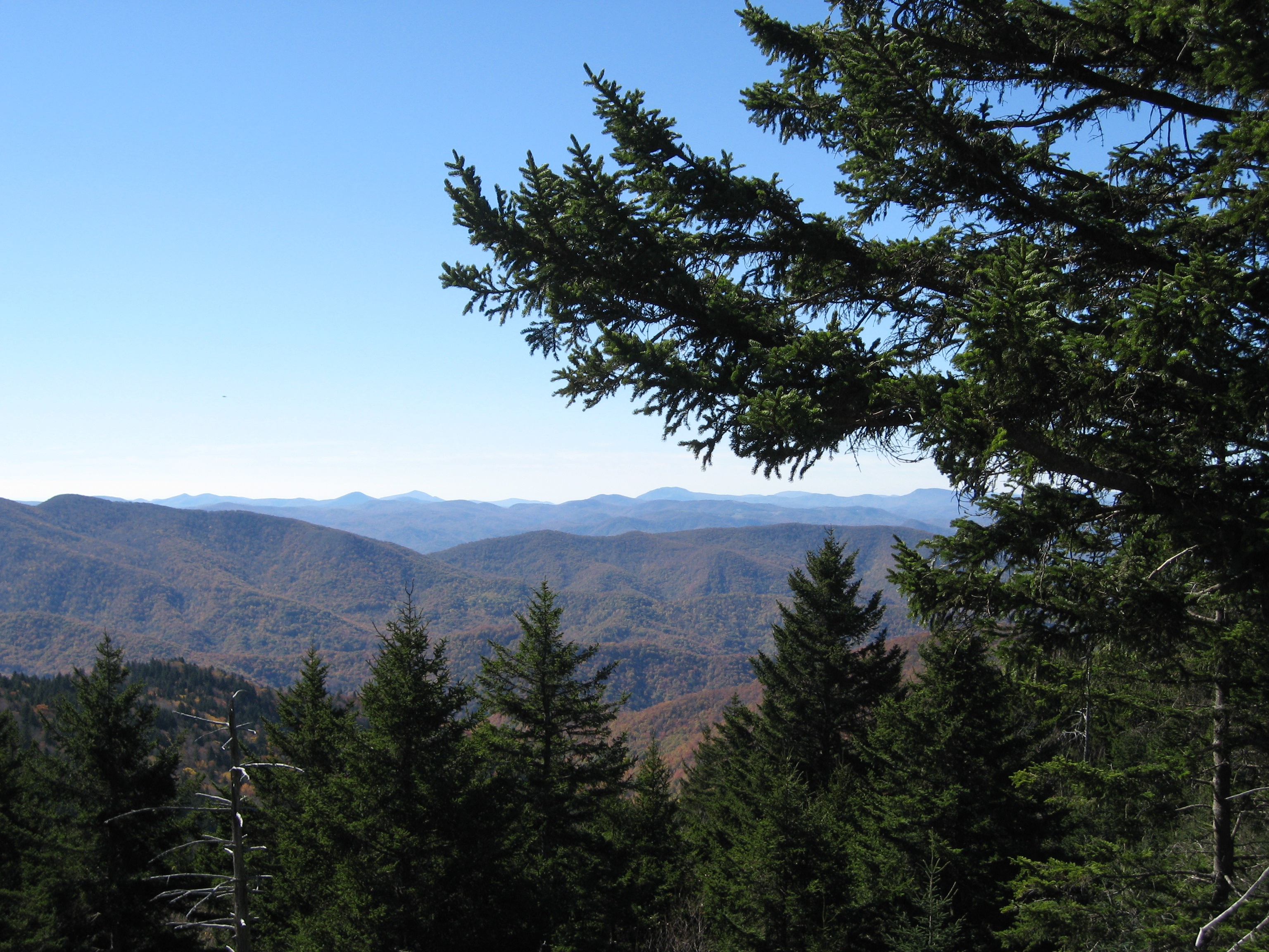 2K, beauty in nature, tranquility, green color, clear sky, scenics - nature, idyllic, blue ridge mountains, outdoors, evergreen, nature, pine tree, non-urban scene, HD Wallpaper