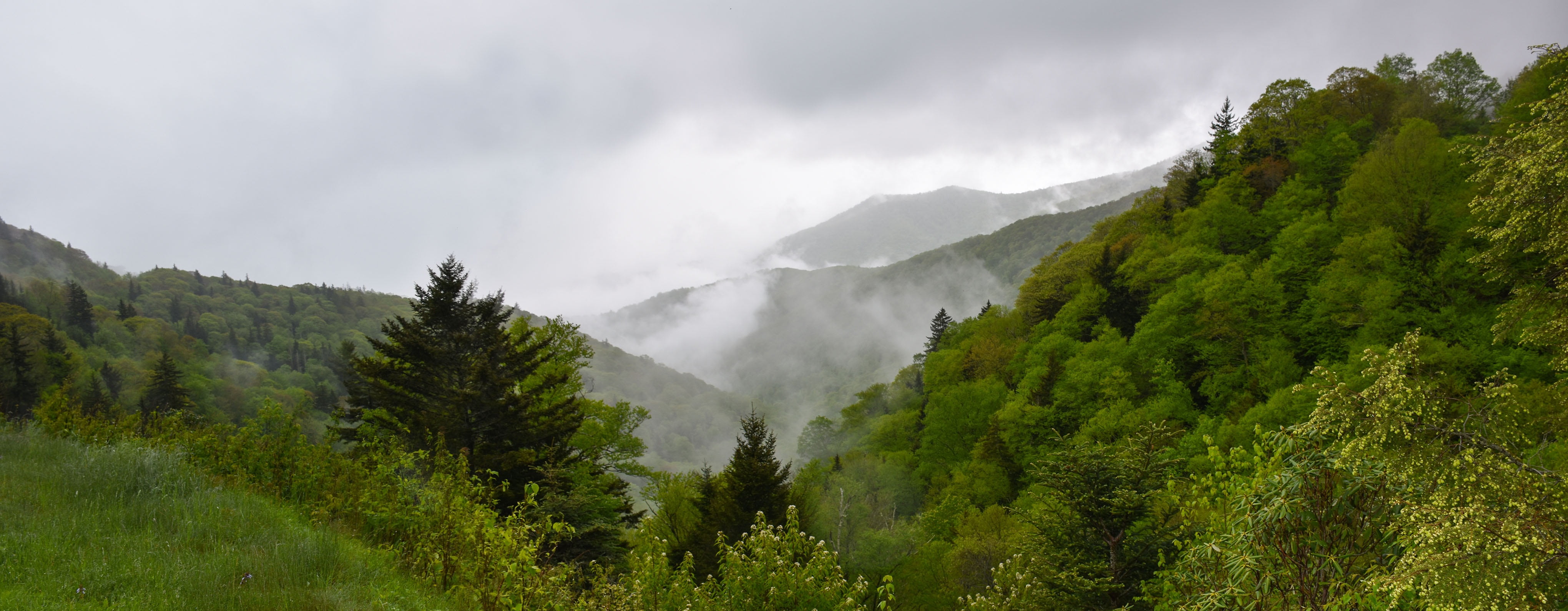 outdoors, mountain landscape, rain, beauty in nature, land, mountain peak, pine tree, green color, fog, environment, sky, tree, cloud - sky, nature, travel, HD Wallpaper