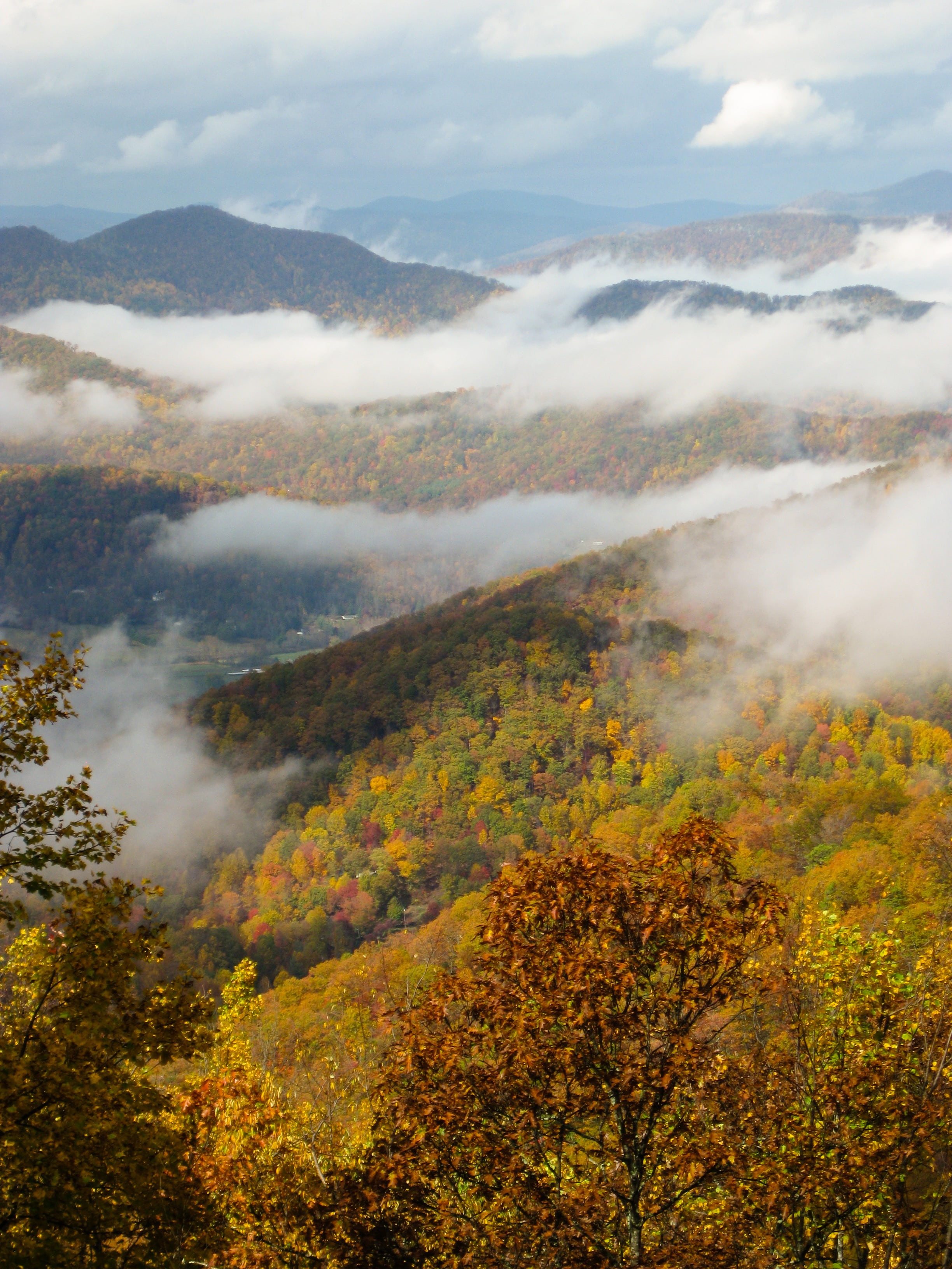 appalachia, tranquility, 2K, appalachians, tranquil scene, day, idyllic, plant, photography, nature, mountain, fall colors, non-urban scene, scenics - nature, Phone HD Wallpaper