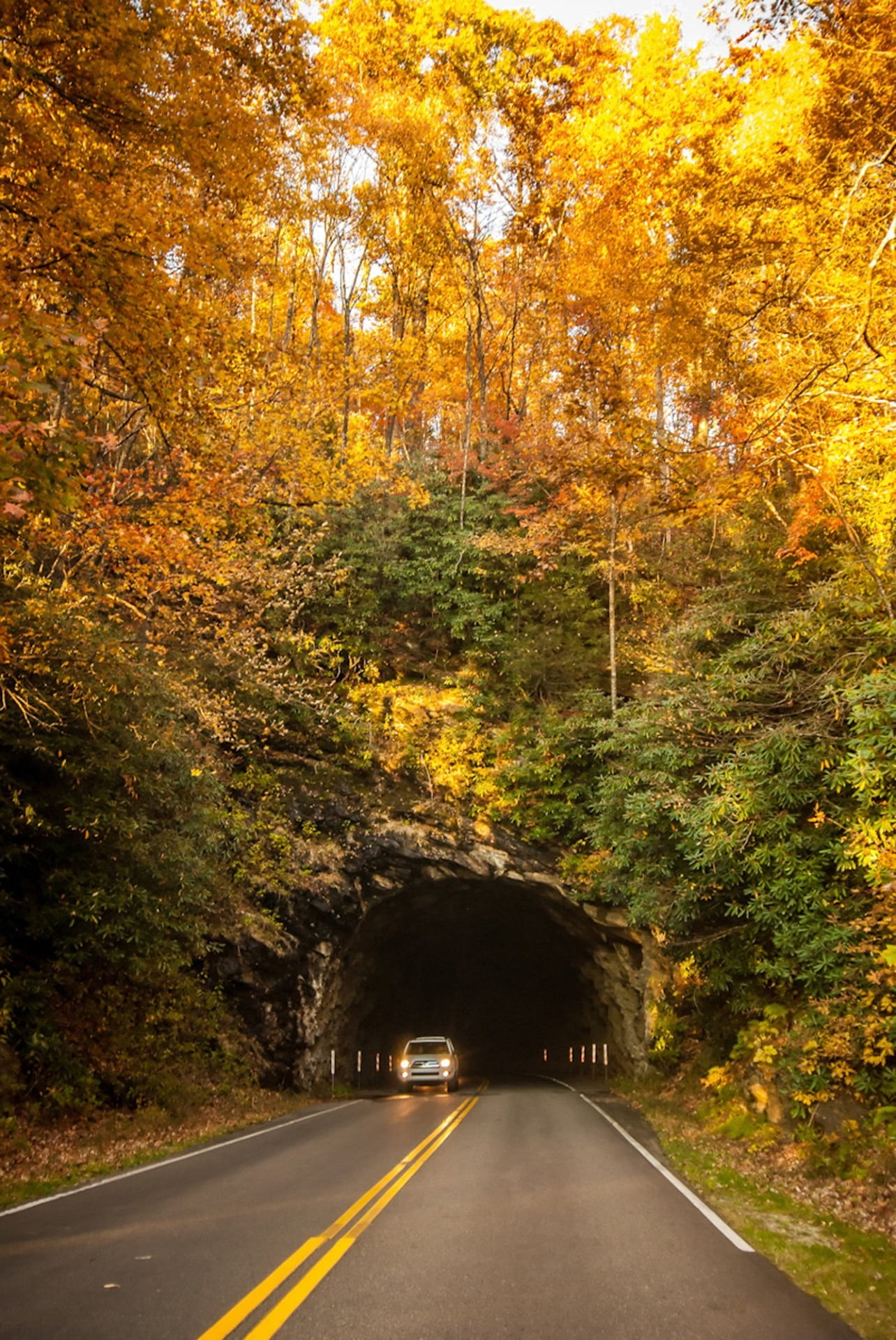 the way forward, marking, daytime, carolina, blue, parkway, mountain, road, beautiful, road marking, tunnel, car, scenics - nature, direction, fall, sign, Phone HD Wallpaper