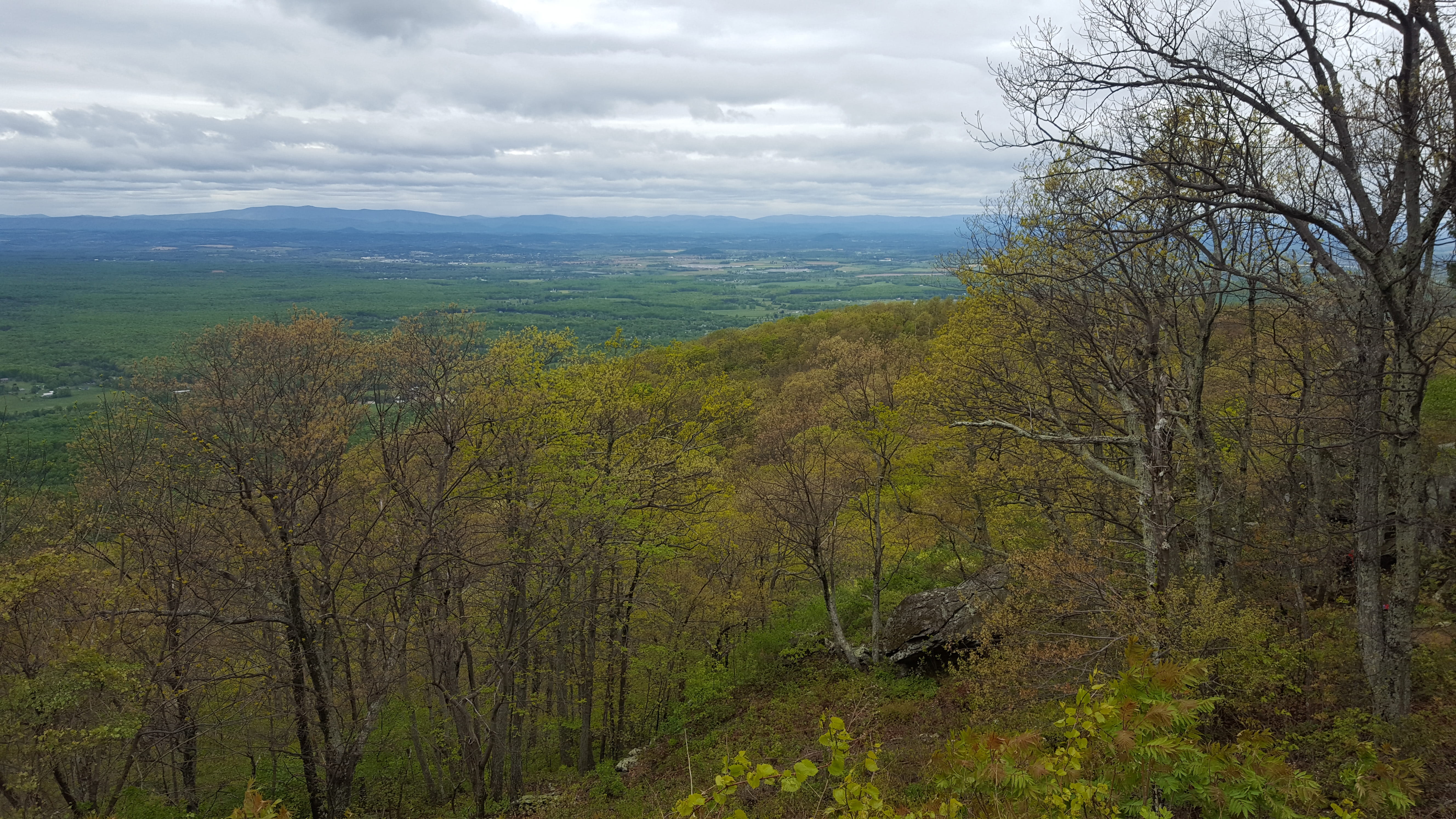 non-urban scene, valley, idyllic, tranquility, day, land, tranquil scene, vista, outdoors, tree, blue ridge, environment, united states, sky, trees, afton, HD Wallpaper