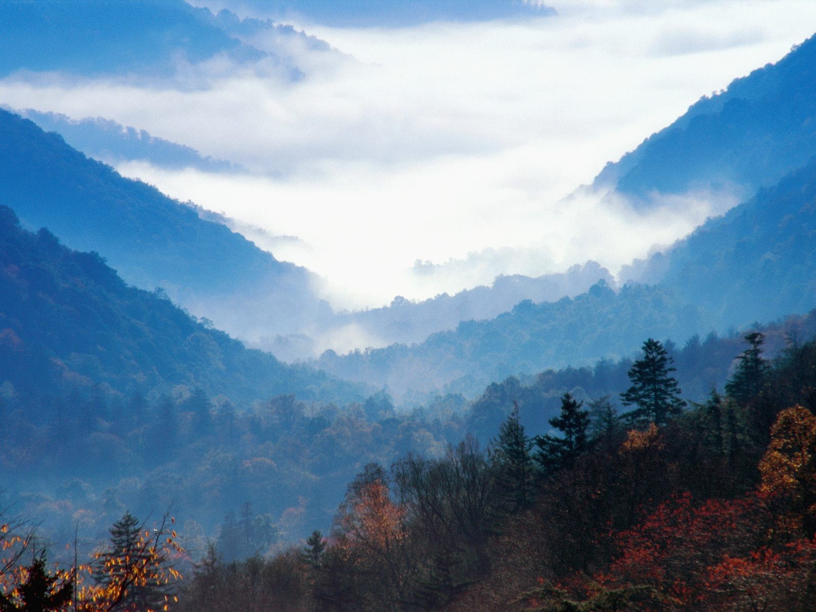 mountains, outdoors, Tennessee, non-urban scene, idyllic, beauty in nature, woodland, white, blue, mountain range, cloud - sky, tranquility, trees, mountain, HD Wallpaper