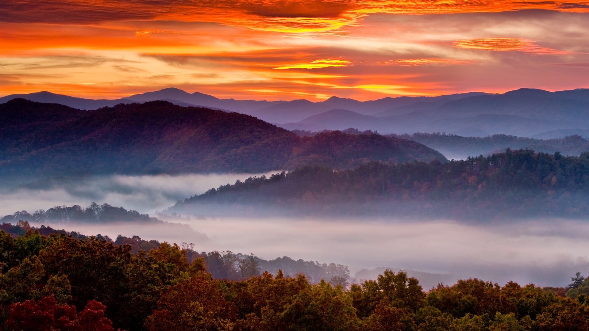 1080P, mist, Tennessee, landscape, Smoky Mountains, trees, nature, USA, sunrise, clouds, mountains, HD Wallpaper
