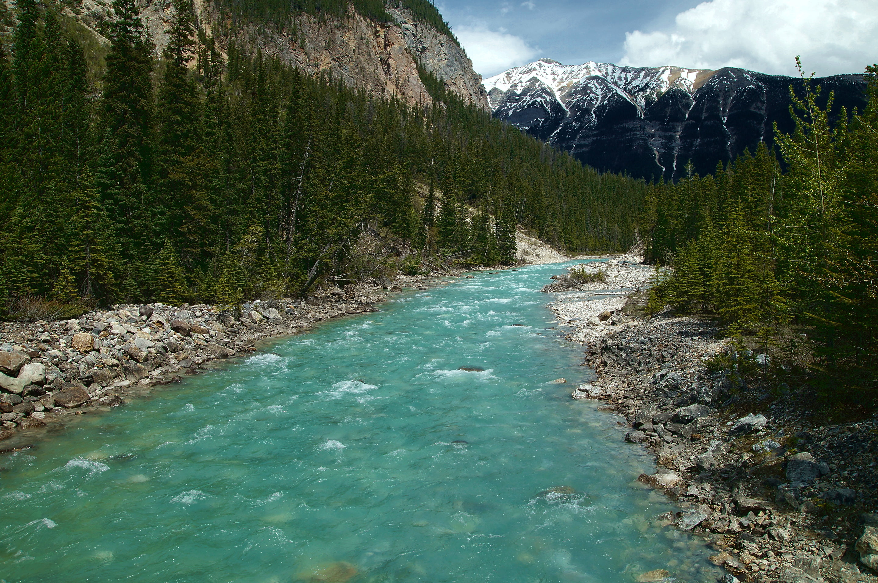 the sky, river, mountains, clouds, Canada, forest, 2K, trees, Icefields Parkway, HD Wallpaper