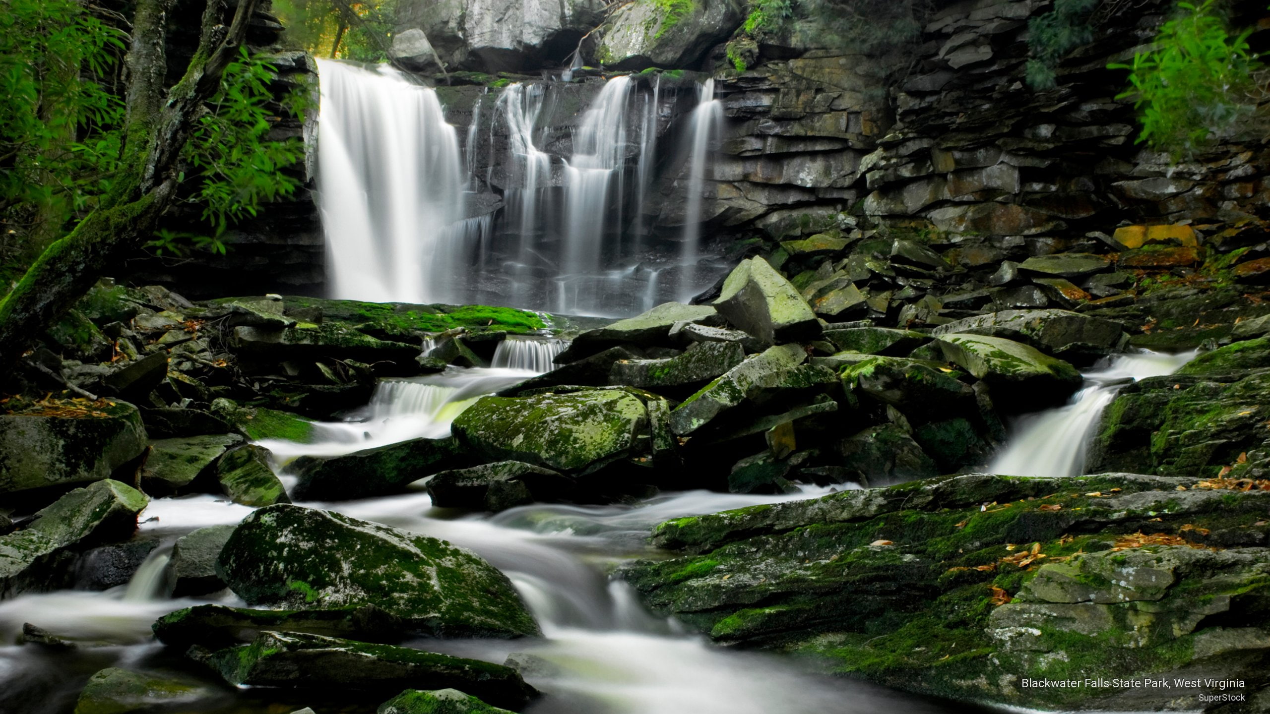 park, west, falls, 2K, virginia, blackwater, state, Waterfalls, HD Wallpaper