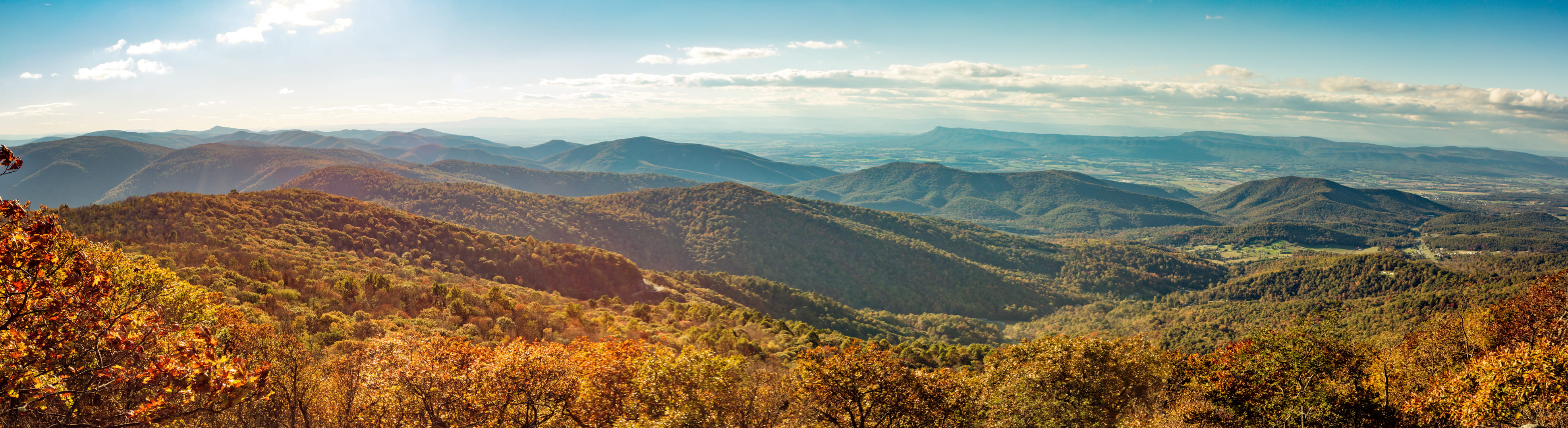 land, panoramic, fall, trees, mountain peak, beauty in nature, shenandoah national park, mountain range, forest, tranquil scene, united states, plant, no people, HD Wallpaper