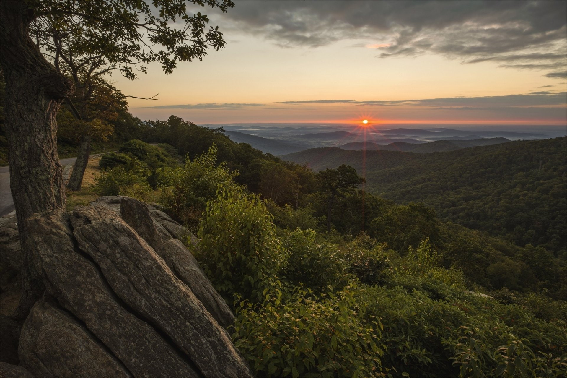 Nature, USA, Shenandoah National Park, Tree, 1080P, Rock, Scenic, National Park, Landscape, Earth, Sunrise, Virginia (State in USA), HD Wallpaper