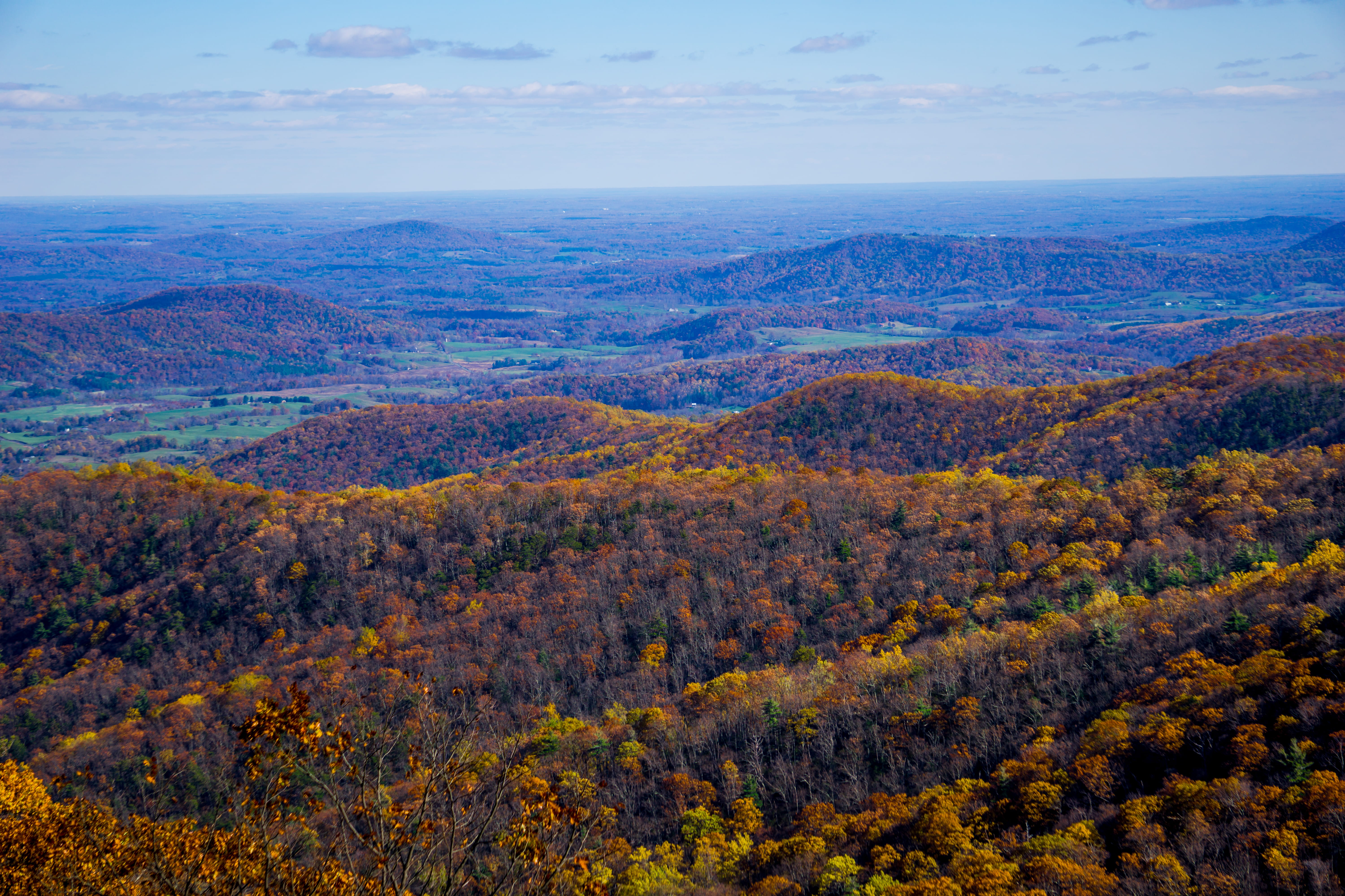 valley, high angle view, trees, scenics - nature, beauty in nature, no people, horizon, tree, day, change, color, tranquility, idyllic, 5K, nature, fall, HD Wallpaper