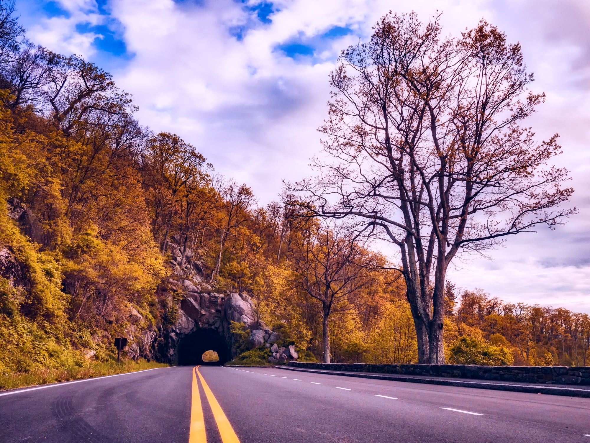tourism, nature, diminishing perspective, shenandoah valley, empty, rural, virginia, dividing line, direction, plant, forest, mountains, no people, country, HD Wallpaper