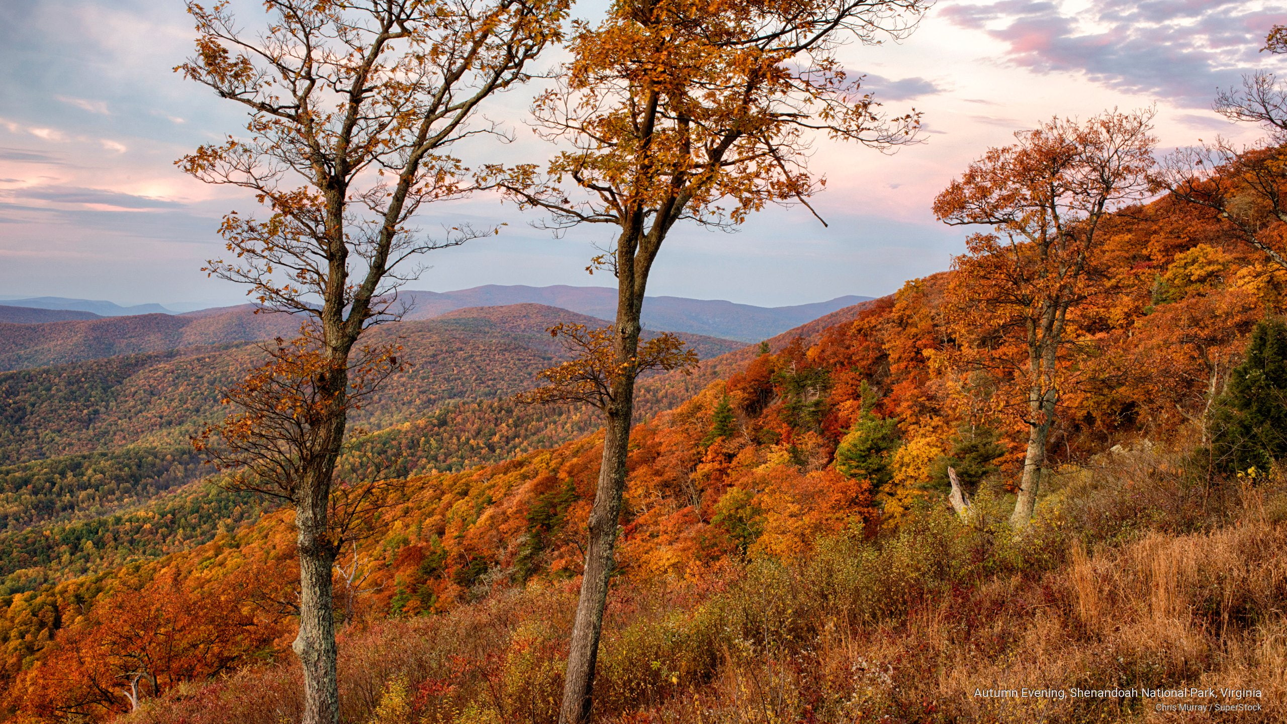 shenandoah, 2K, autumn, National Parks, park, evening, virginia, national, HD Wallpaper