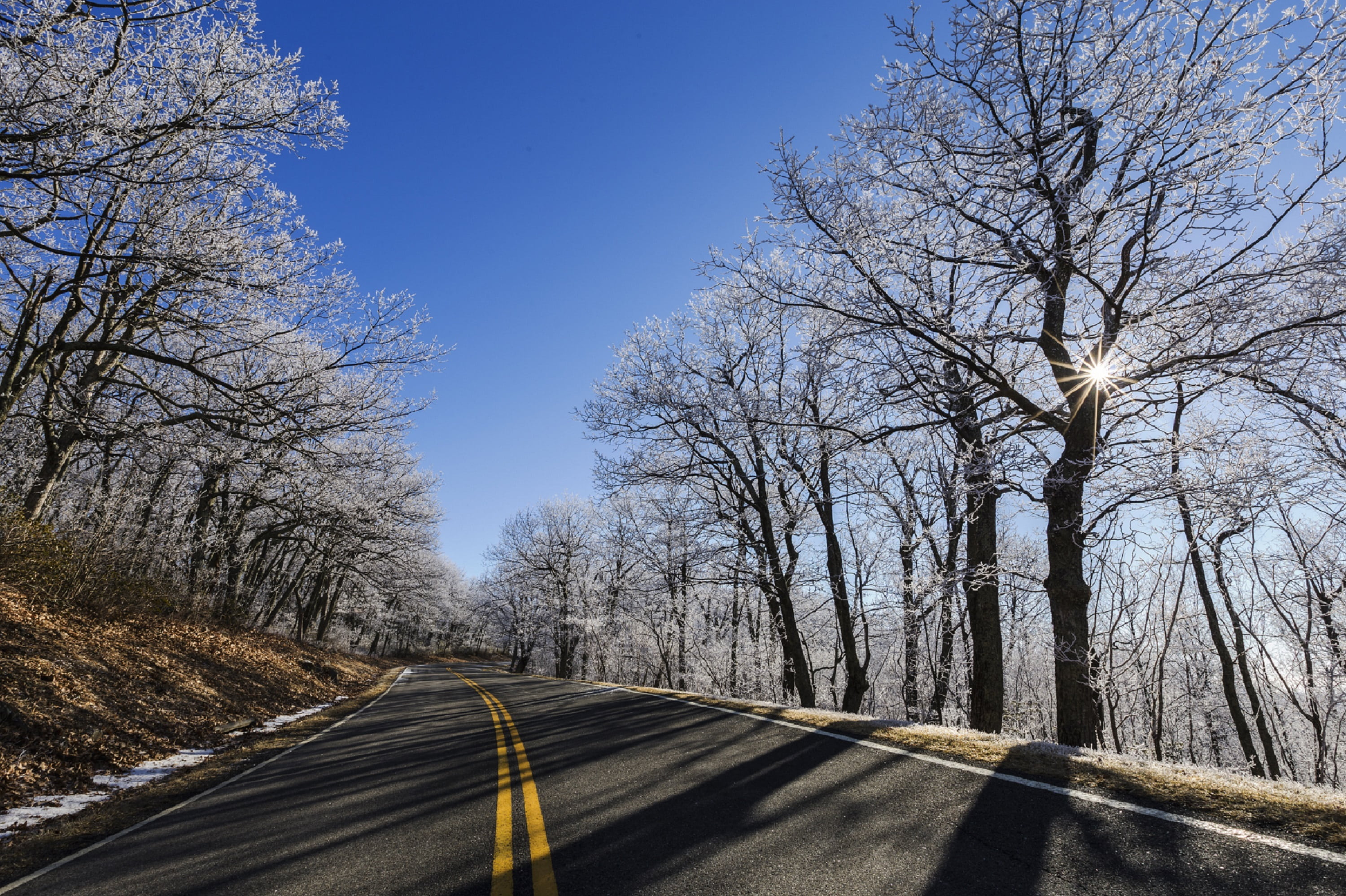 the way forward, empty road, bare tree, sign, no people, cumulus, trees, direction, double yellow line, outdoors, plant, road, highway, winter, country road, HD Wallpaper