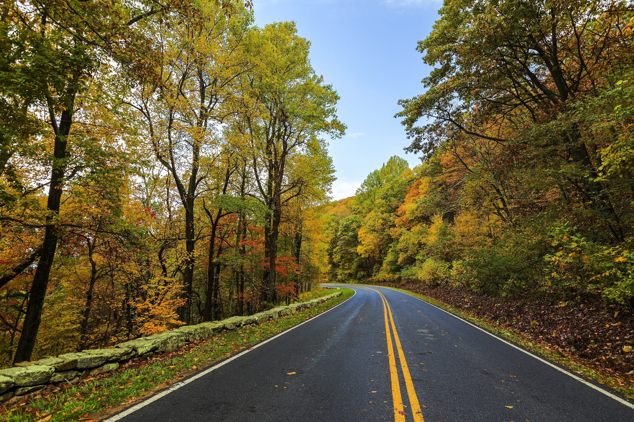 road marking, plant, scenics - nature, direction, scenic, outdoors, countryside, beauty in nature, transportation, tree, 1080P, tranquility, skyline drive, HD Wallpaper