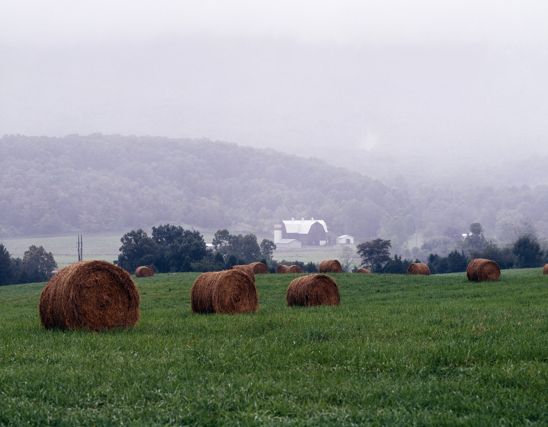 landscape, scenic, foggy, rural scene, tranquil scene, quiet, beauty in nature, field, sky, shenandoah valley, plant, tranquility, land, gray, scenics - nature, HD Wallpaper
