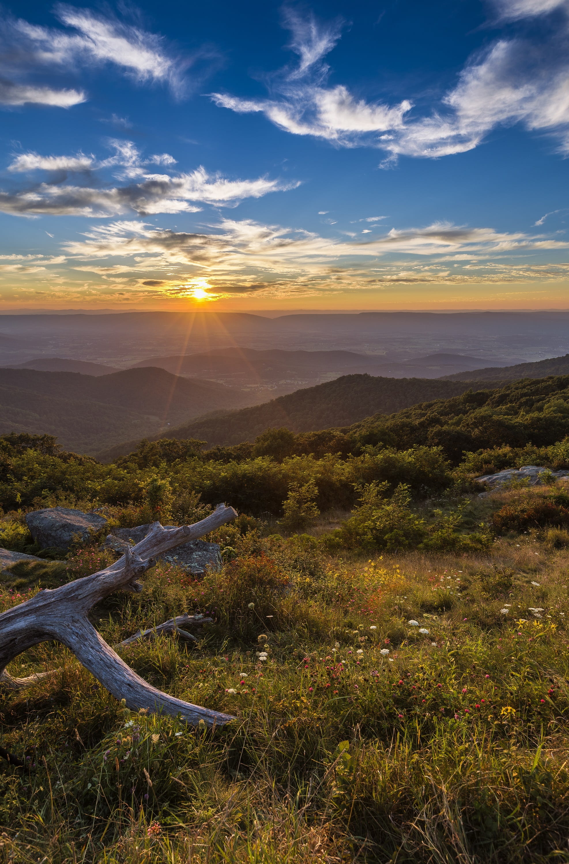 lens flare, sky, evening, blue ridge mountains, 2K, dusk, environment, sunlight, cloud - sky, wilderness, clouds, tranquil scene, plant, scenic, land, Phone HD Wallpaper