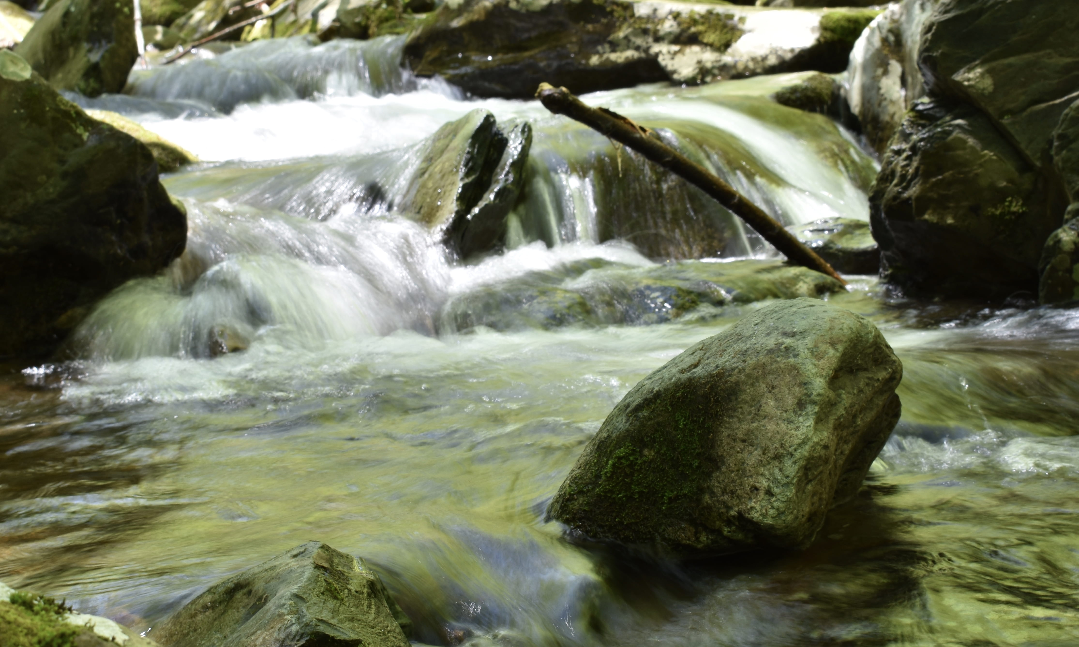 luray, stream - flowing water, flowing water, united states, power in nature, rock, water, scenics - nature, long exposure, nature, river, tree, running water, HD Wallpaper