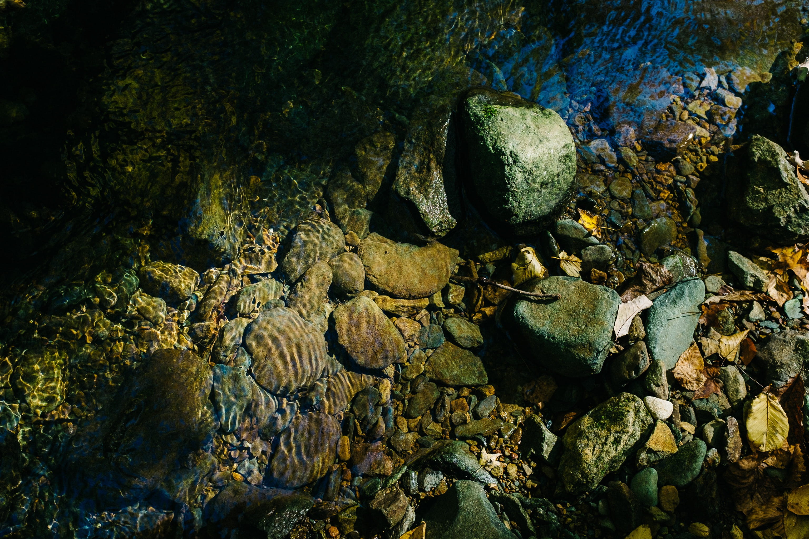 rock formation, no people, day, stone, forest, outdoors, land, shenandoah national park, rock - object, animals in the wild, stream, flowing water, rock, HD Wallpaper