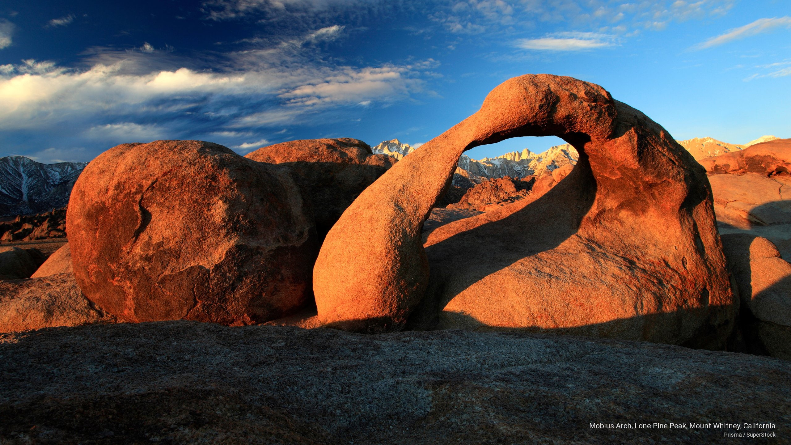 arch, pine, mount, Mountains, california, lone, peak, mobius, whitney, 2K, HD Wallpaper
