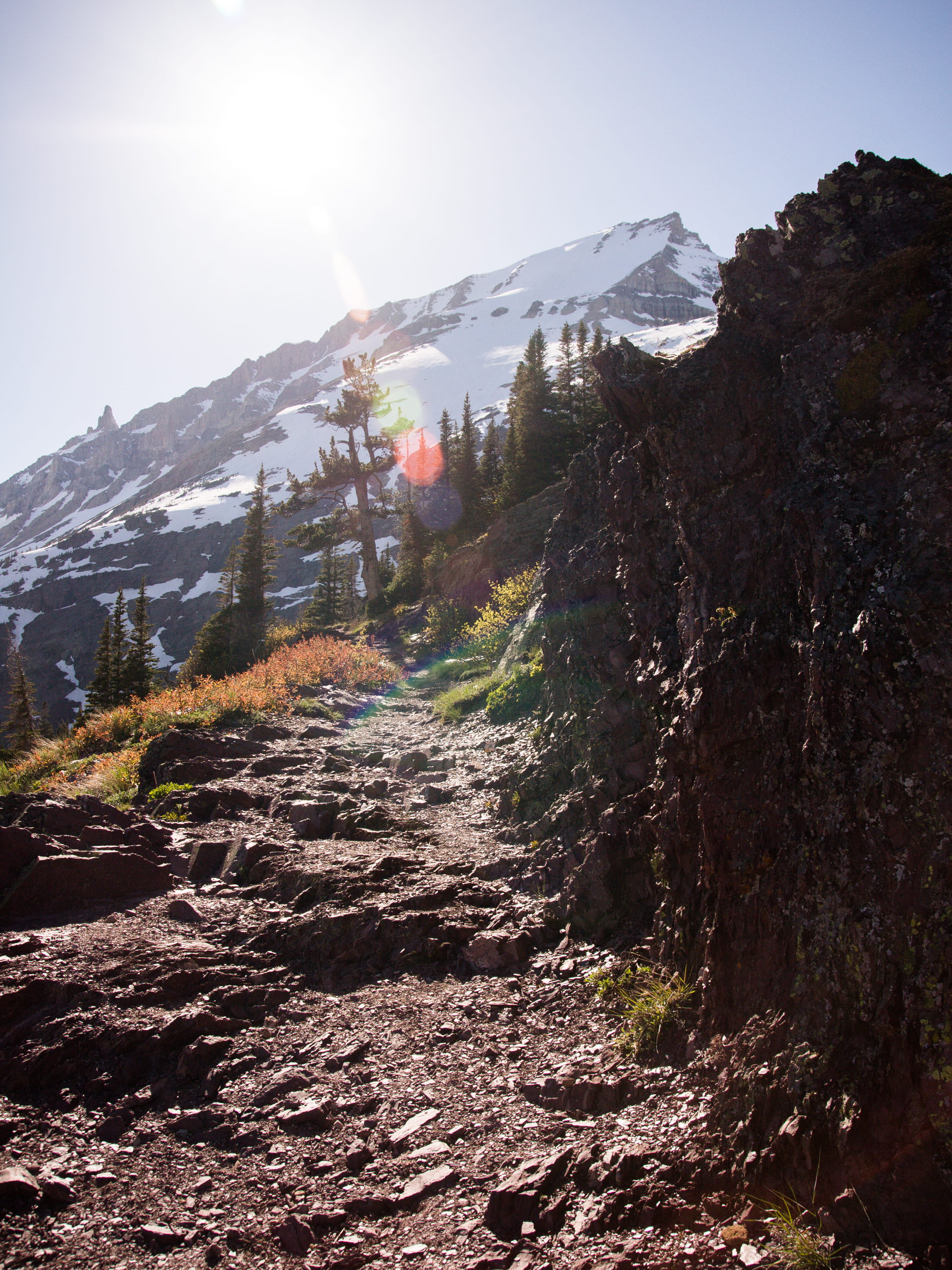 soil, forest, mountain peak, environment, 2K, united states, snow, snowcapped mountain, rock, day, alps, tree, land, sunlight, grinnell glacier trail, Phone HD Wallpaper