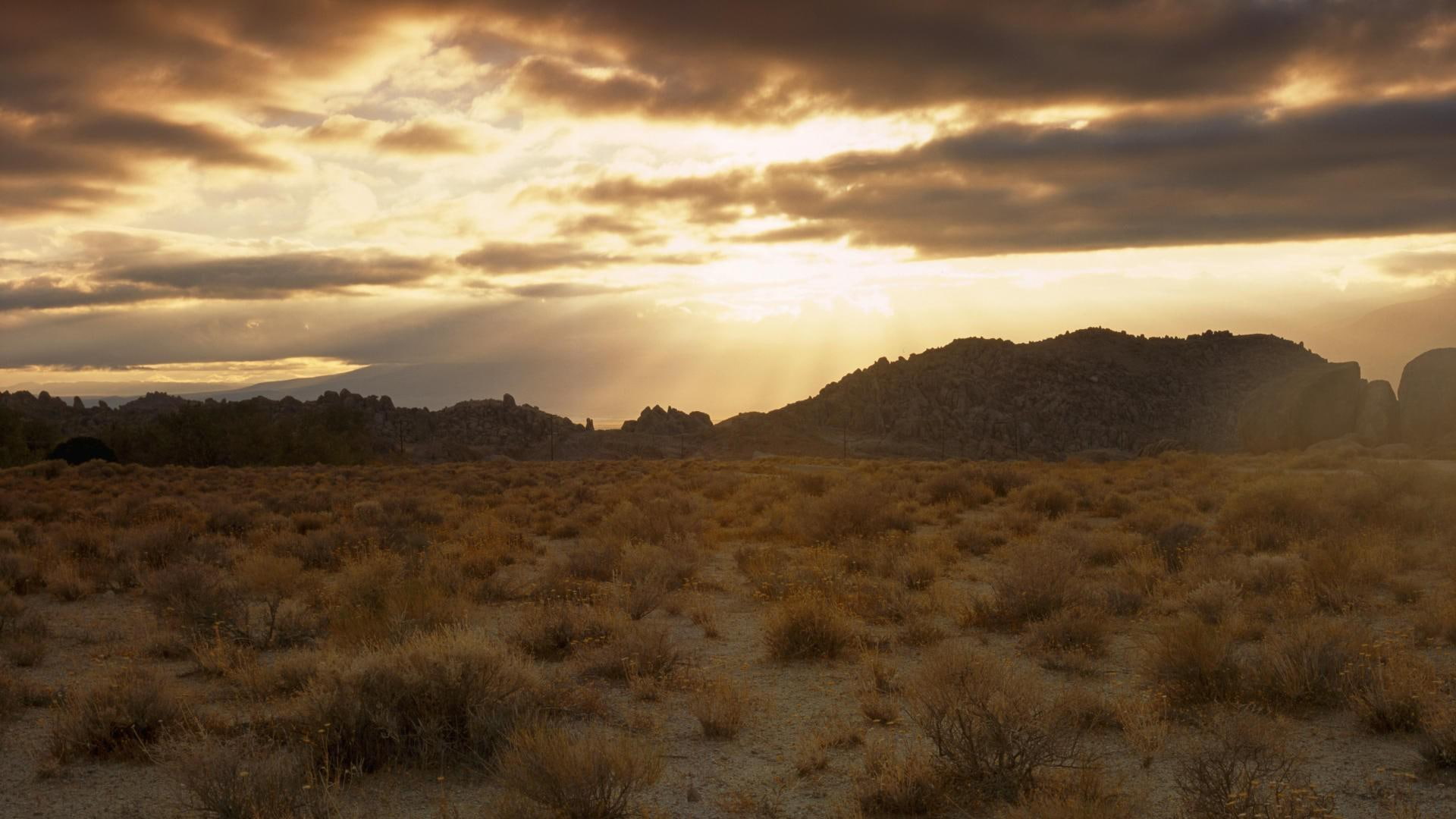 grass, nature, hills, california, hill, 1920x1080, dried, brown, 1080P, alabama, HD Wallpaper