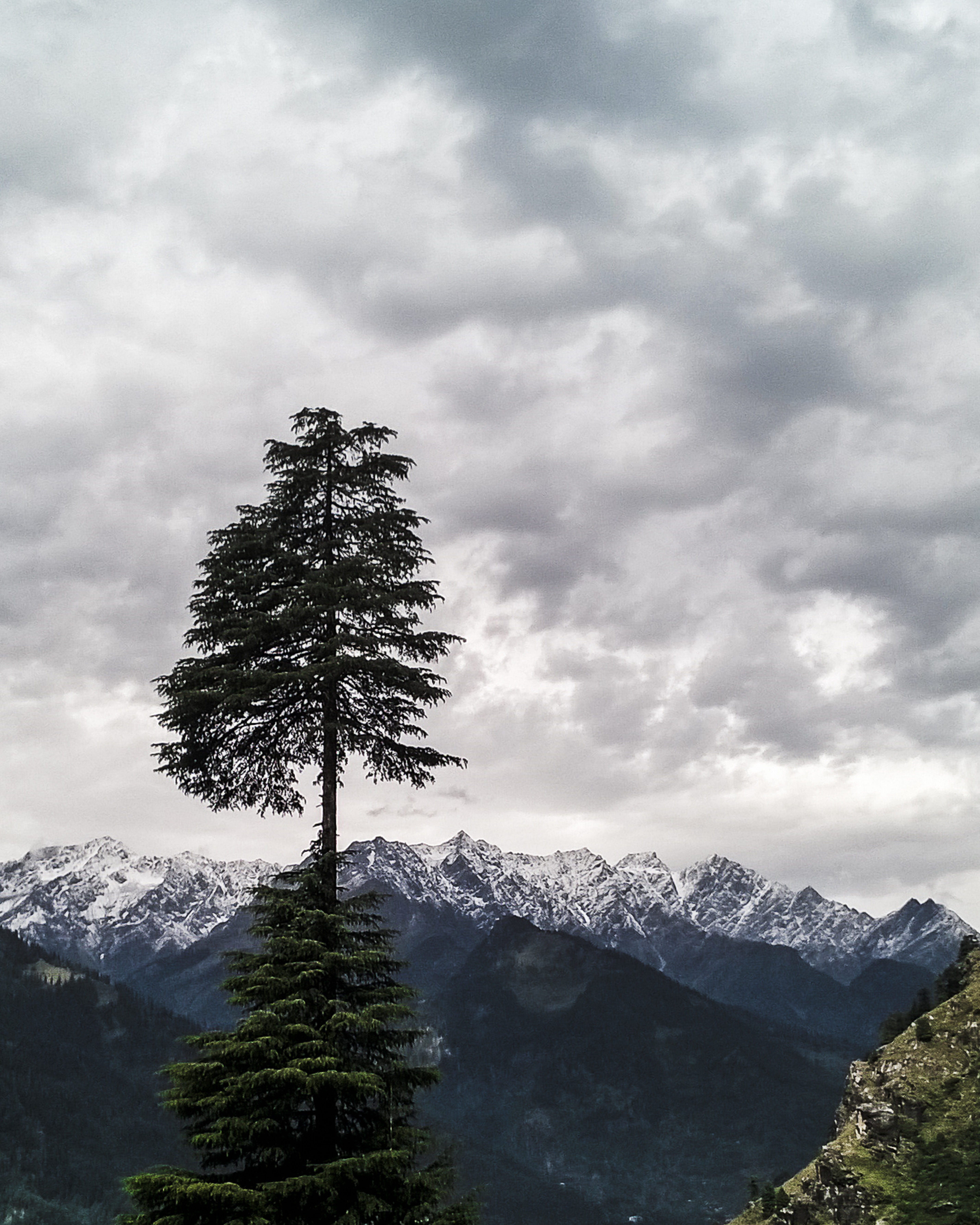 treking, beauty, plant, tranquility, day, mountain, winter, mountain peak, love, land, outdoors, 5K, no people, tree, beauty in nature, fir tree, non-urban scene, Phone HD Wallpaper