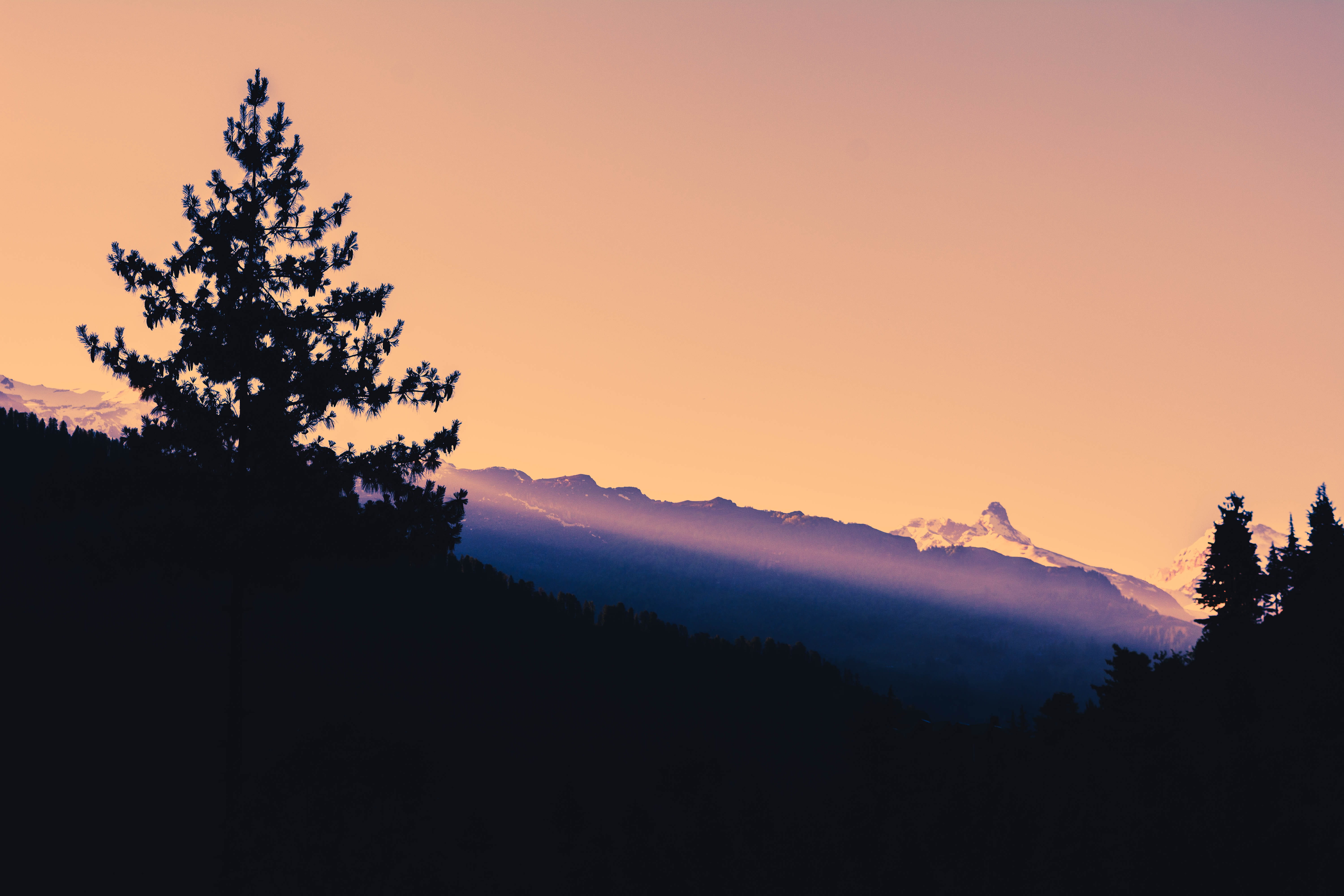 snow, no people, silhouette, tree, orange, old manali, mountains, sunset, trees, coniferous tree, tranquil scene, sky, plant, pine tree, surreal, non-urban scene, HD Wallpaper