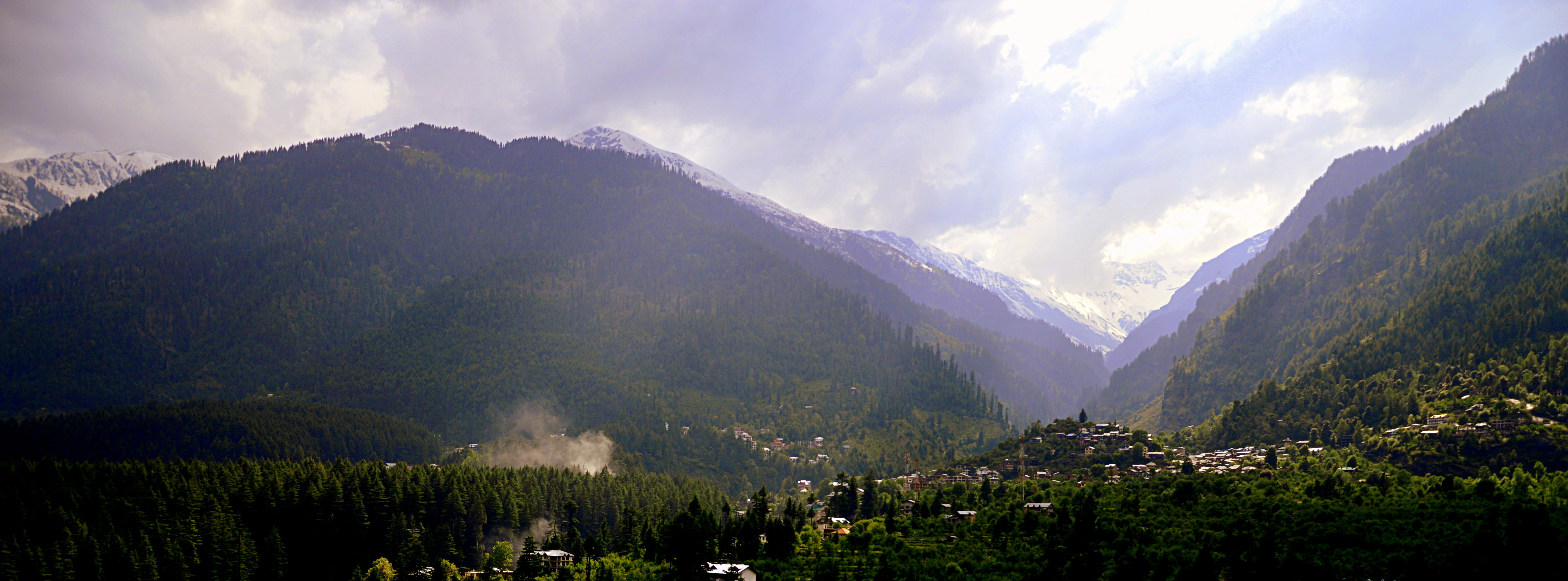 trees, beauty, scenics - nature, climate, clouds, manali, forest, no people, outdoors, travel, mountain range, mountain peak, mountains, fog, india, daylight, HD Wallpaper