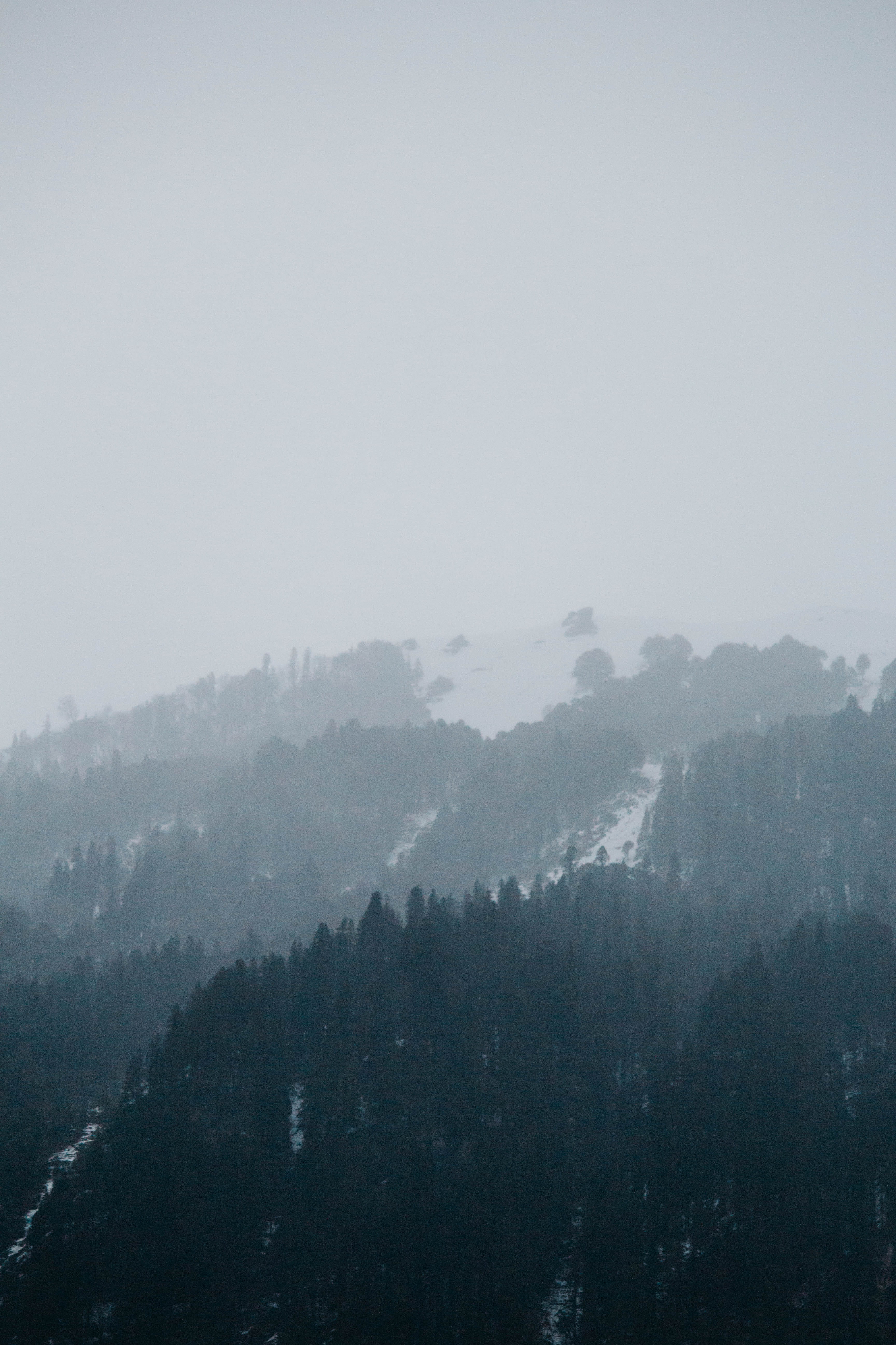manali, fog, pine, metropolis, pollution, abies, mountains, mountain range, mountain, summit, environment, city, beauty in nature, landscape, tree, mystery, Phone HD Wallpaper