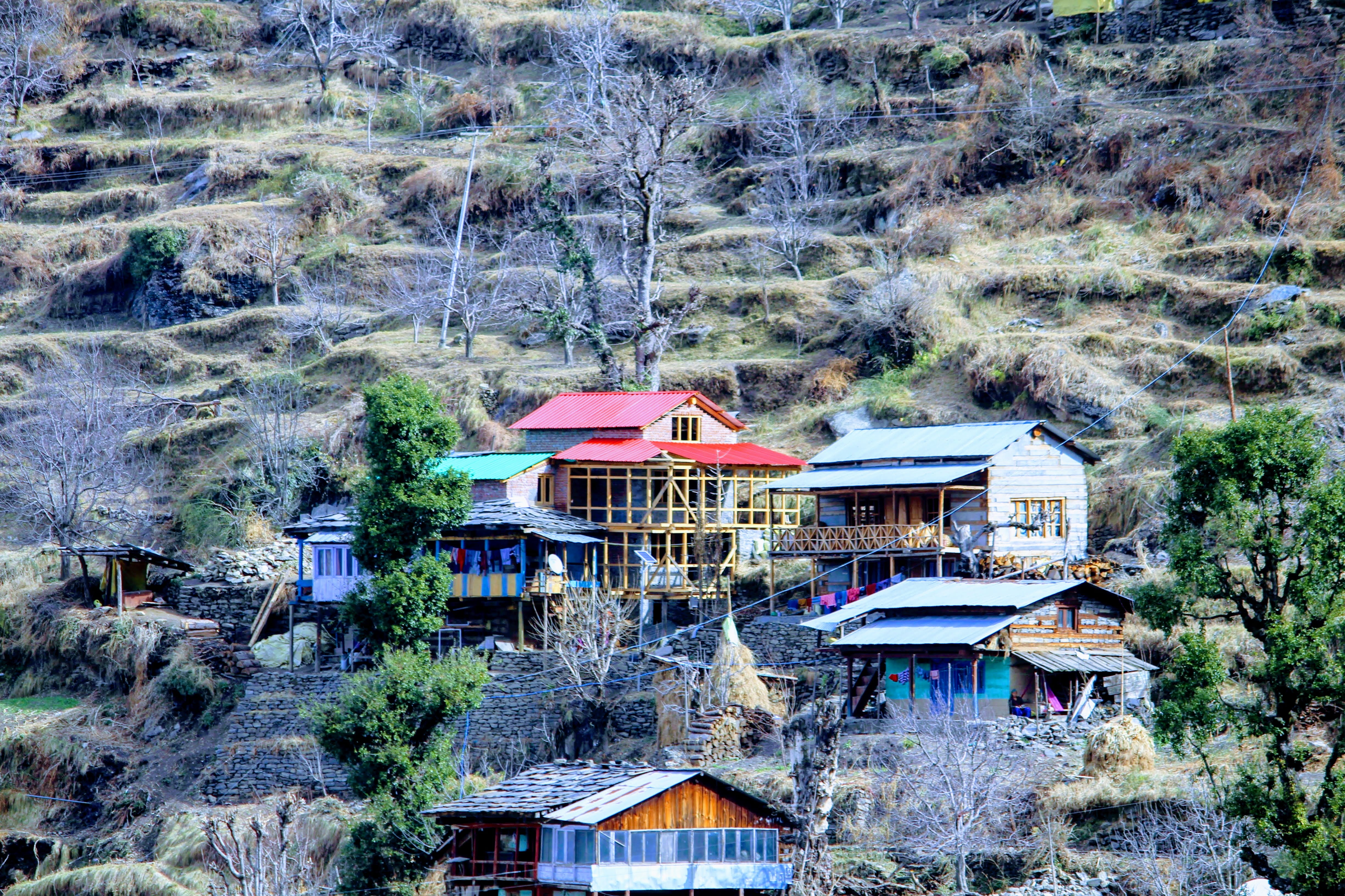 plant, growth, 4K, built structure, manali, nature, high angle view, house, mode of transportation, roof, forest, day, gazebo, manail, building exterior, HD Wallpaper