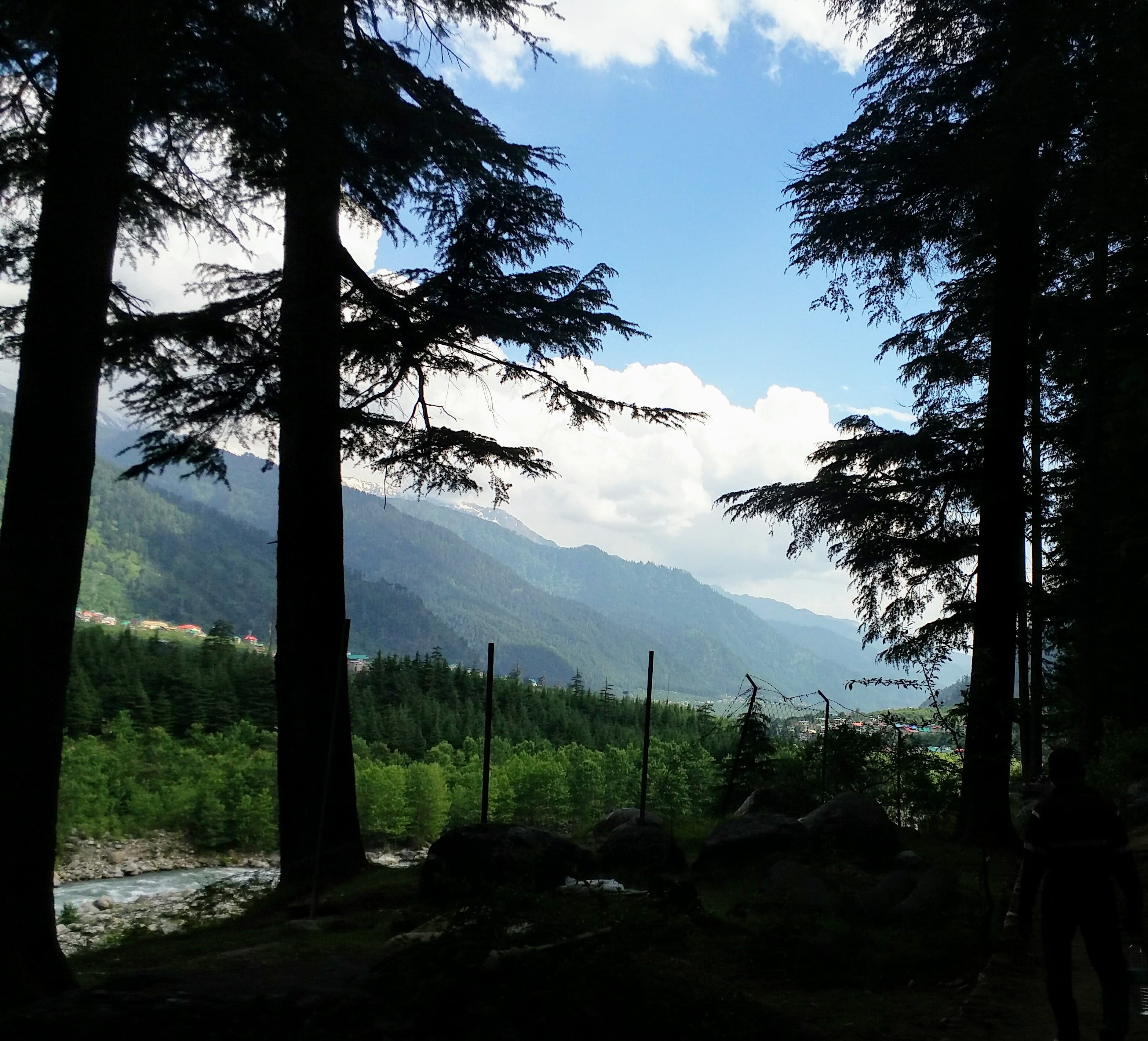 tranquil scene, atal bihari vajpai institute rd, nature, non-urban scene, tree, india, landscape, no people, beauty in nature, cloud - sky, mountain range, HD Wallpaper