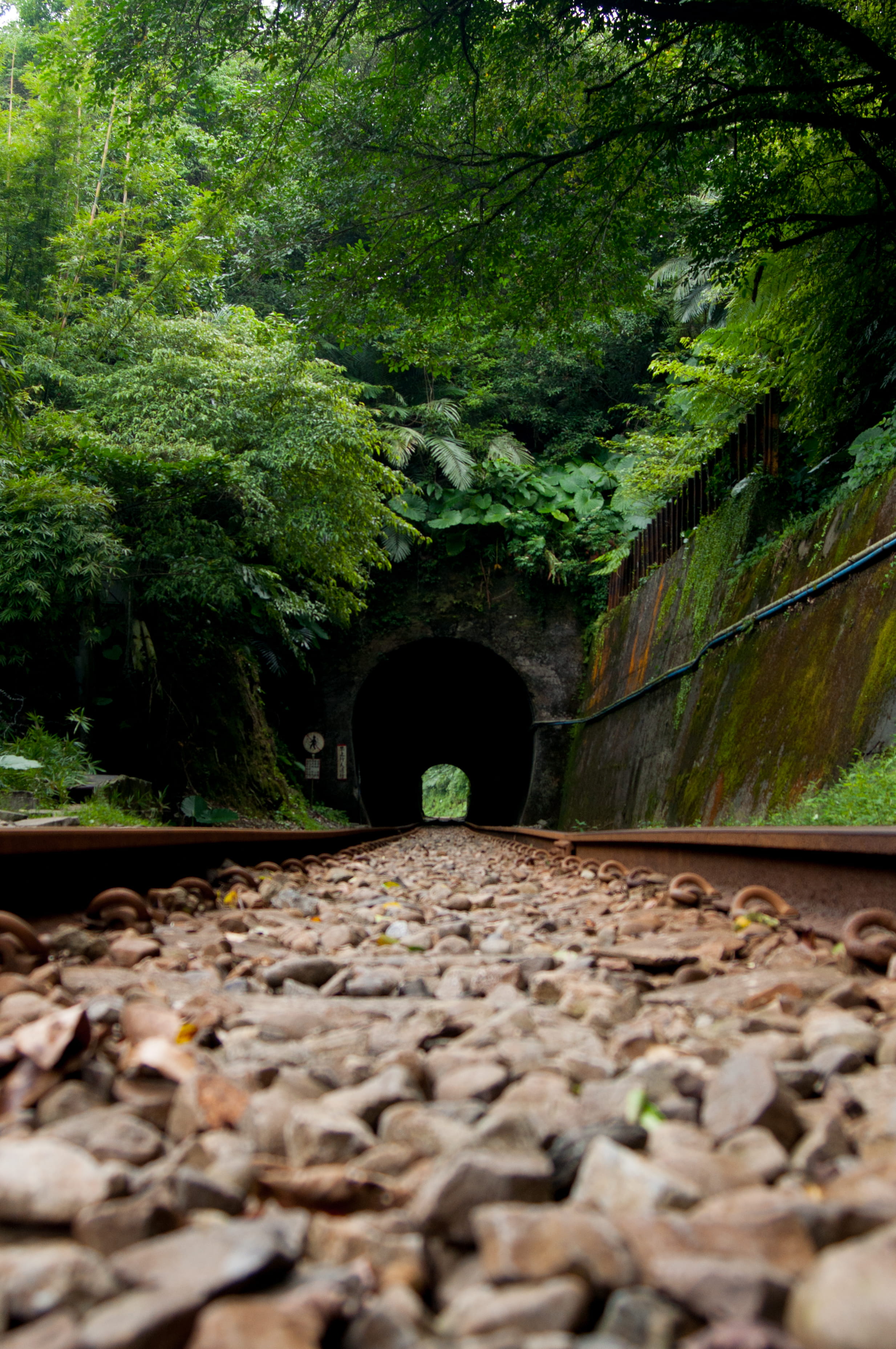 connection, growth, tunnel, outdoors, surface level, taiwan, the way forward, railroad track, jiufen old street, architecture, plant, day, green color, Phone HD Wallpaper
