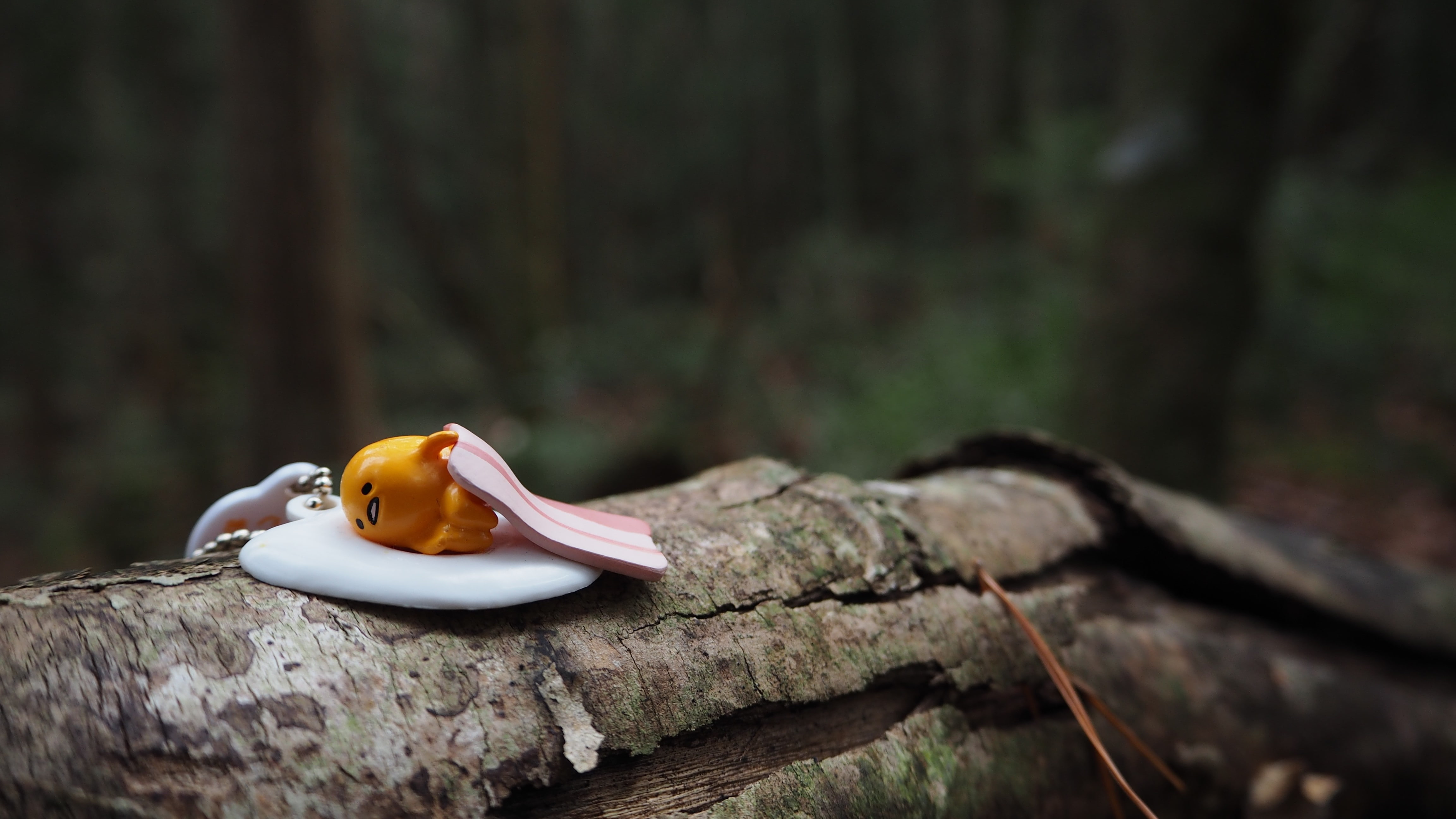 GUDETAMA, Depth Of Field, forest, 4K, HD Wallpaper