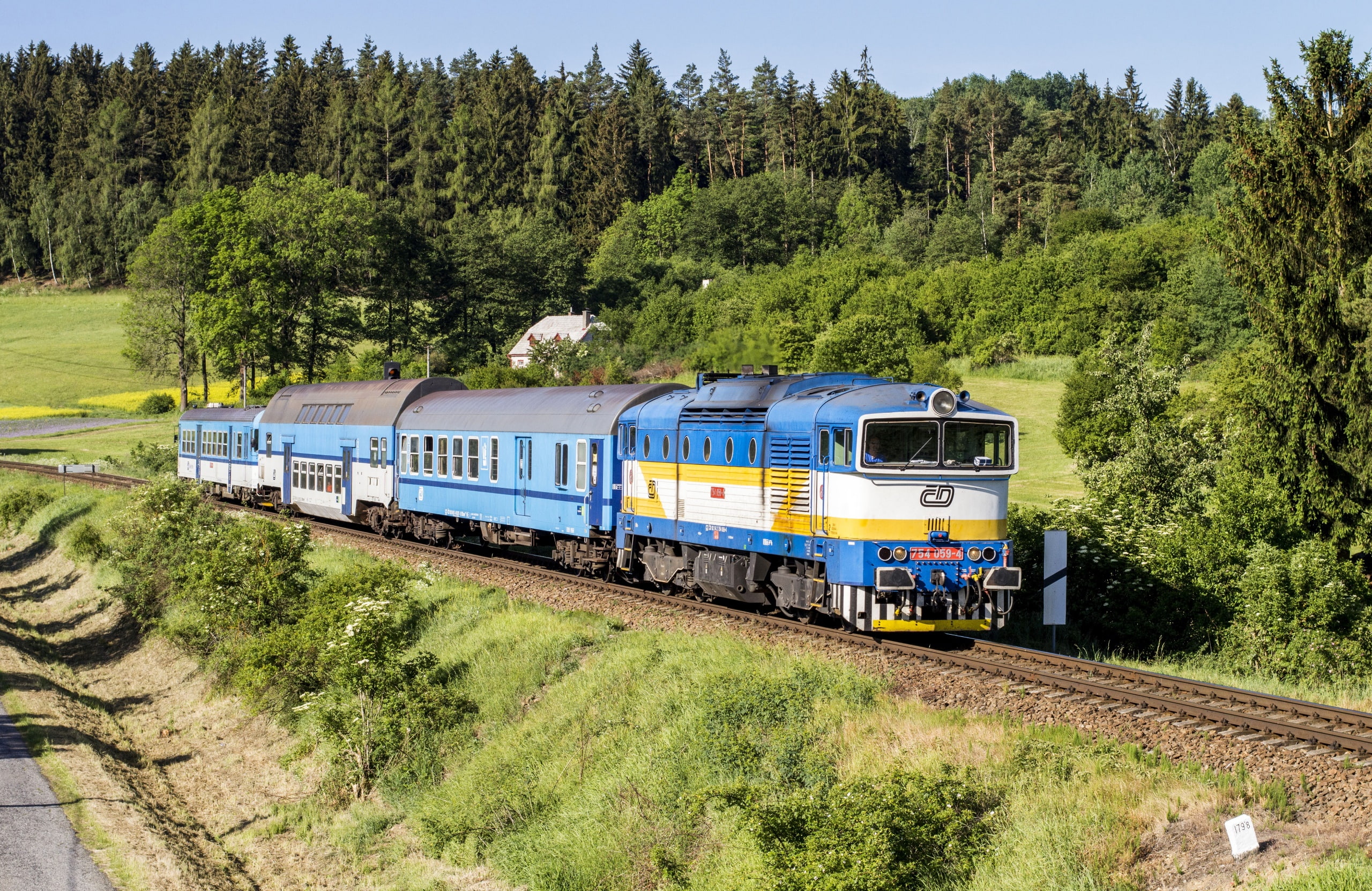 land vehicle, day, grass, rail transportation, no people, transportation, vehicle, track, tree, railroad track, mode of transportation, nature, plant, train, HD Wallpaper