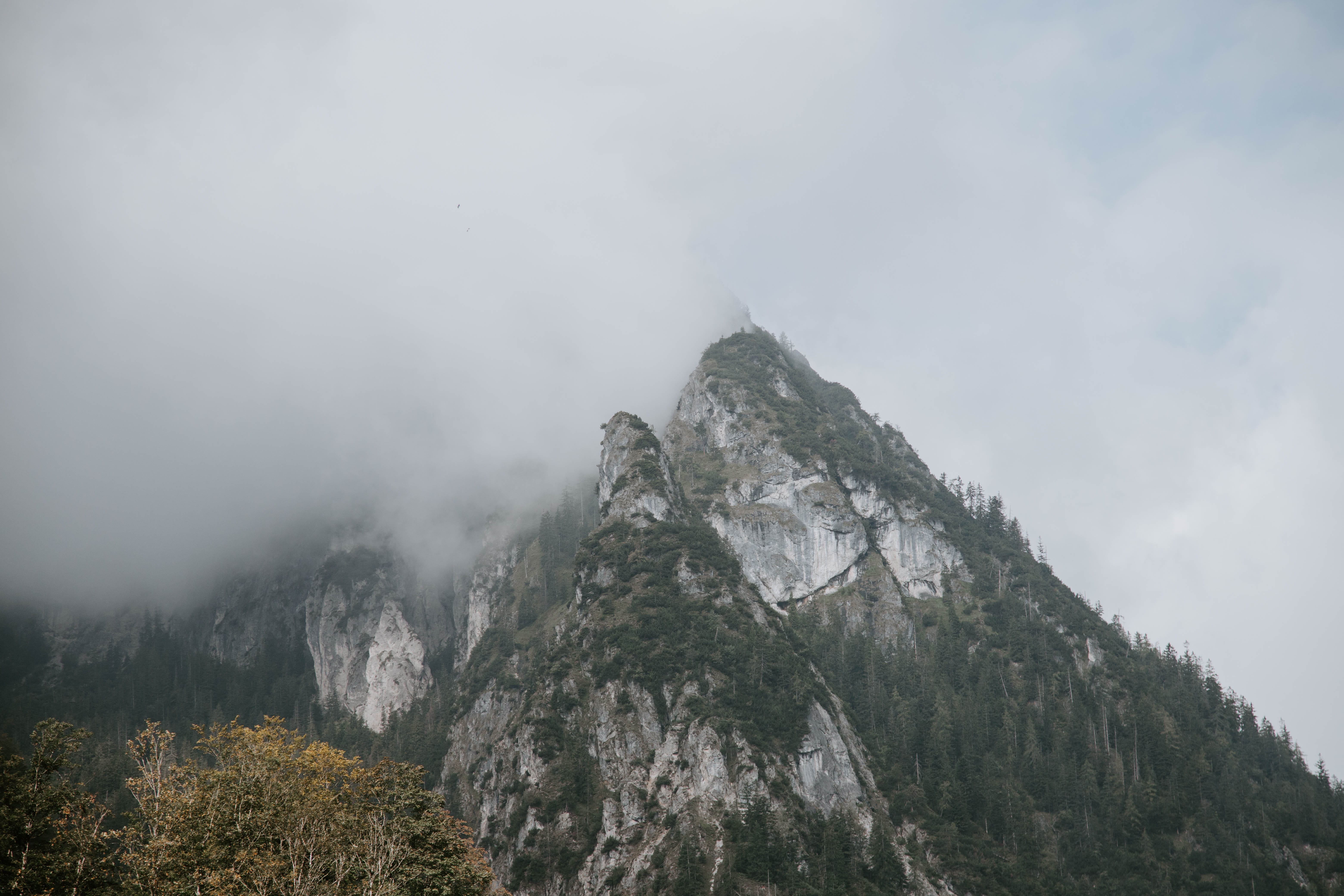 mountain, mountain range, sky, beauty in nature, schönau am königssee, fog, germany, tranquil scene, rock, tranquility, königssee, plant, cloud - sky, nature, HD Wallpaper