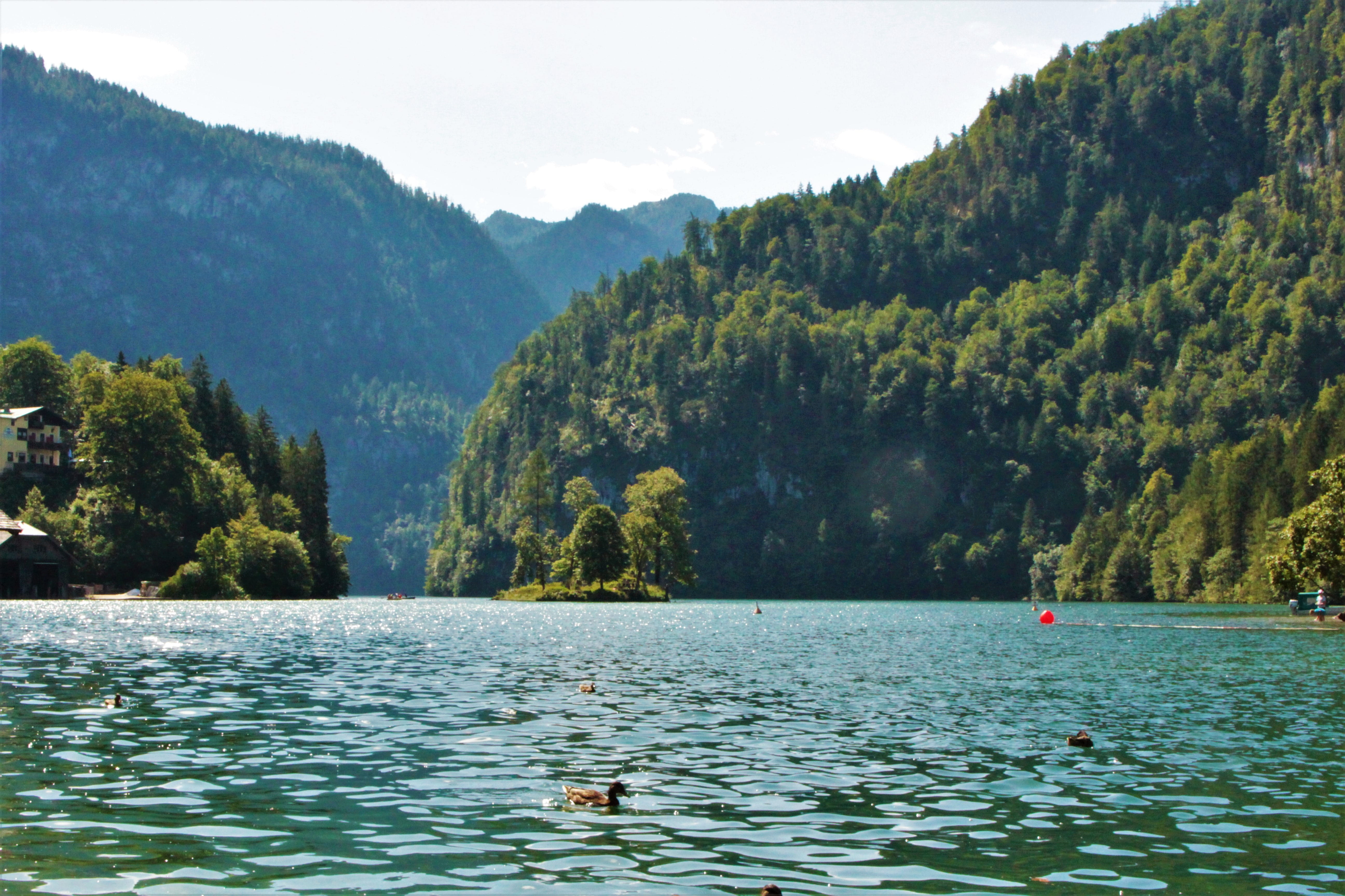 lifestyles, mountain range, königssee, waterfront, beauty in nature, 5K, nature, swimming, berchtesgaden, day, tranquility, scenics - nature, tree, tranquil scene, HD Wallpaper
