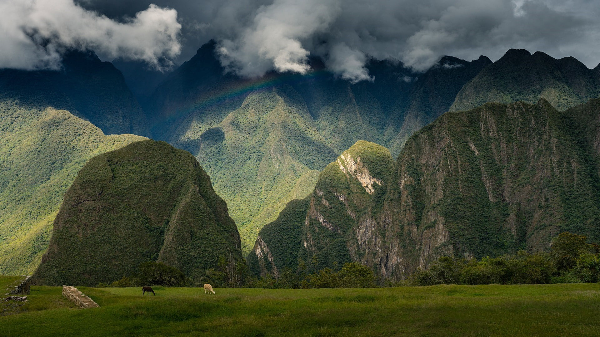 Inca citadel, forest, tranquility, no people, Andes, Sky, outdoors, scenics - nature, cloud - sky, beauty in nature, mountain range, Machu picchu, field, HD Wallpaper