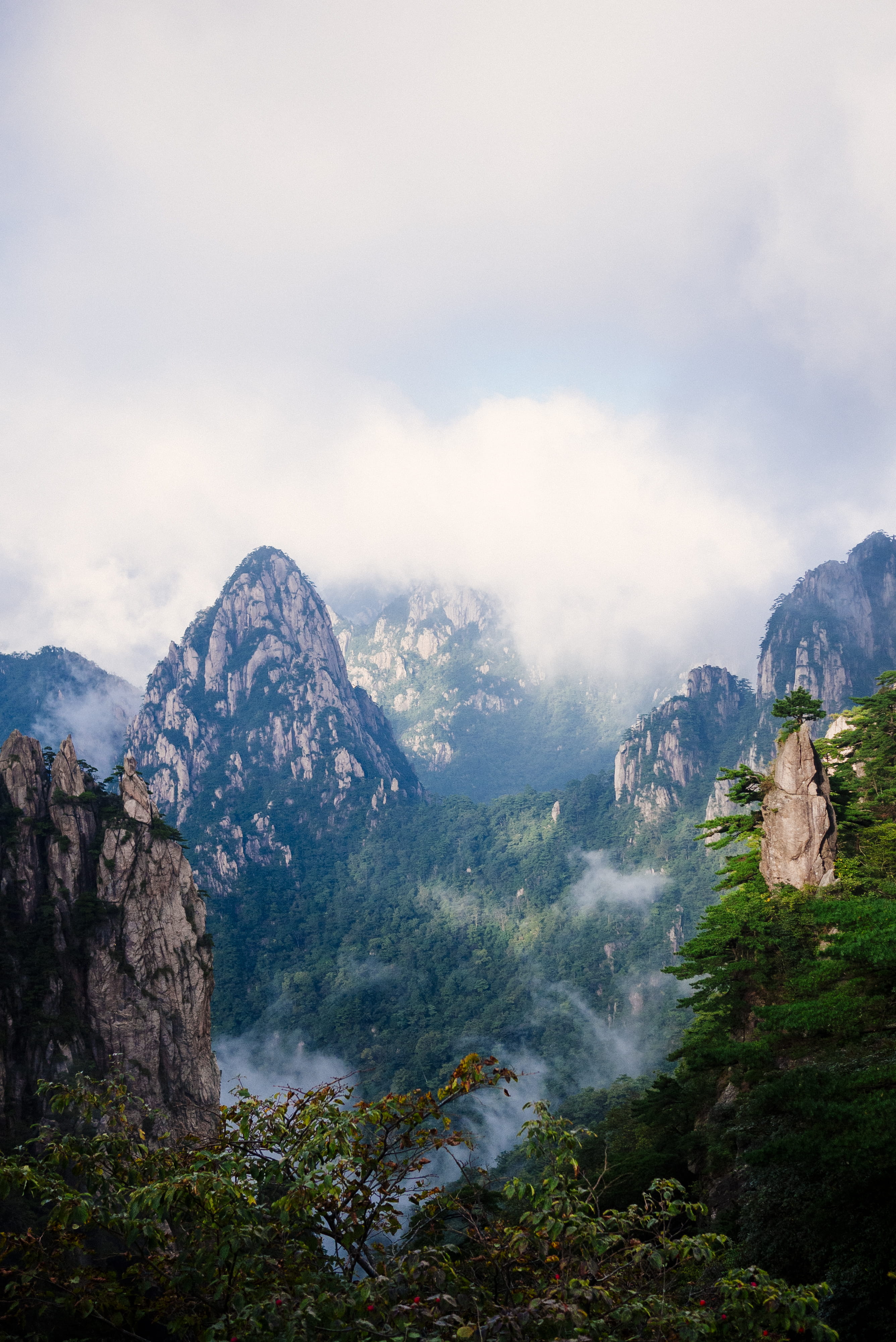 mountain peak, mountain, zhenjiang, beauty in nature, fog, travel destinations, sky, pine woodland, environment, huangshan mountain, tranquility, pine tree, Phone HD Wallpaper