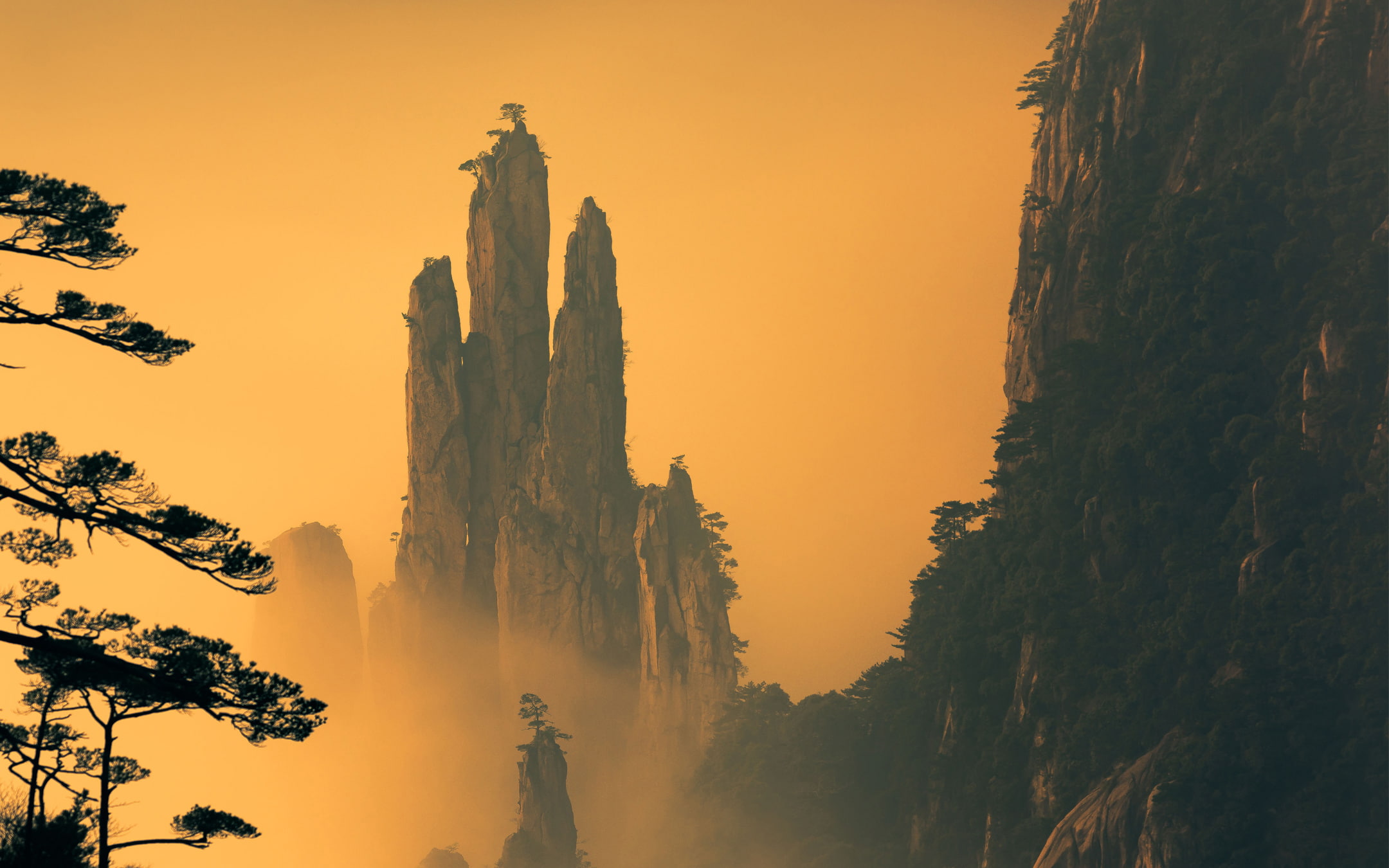idyllic, silhouette, orange color, Mountains, outdoors, beauty in nature, 1080P, land, no people, plant, growth, scenics - nature, sunset, Huangshan, tranquility, HD Wallpaper