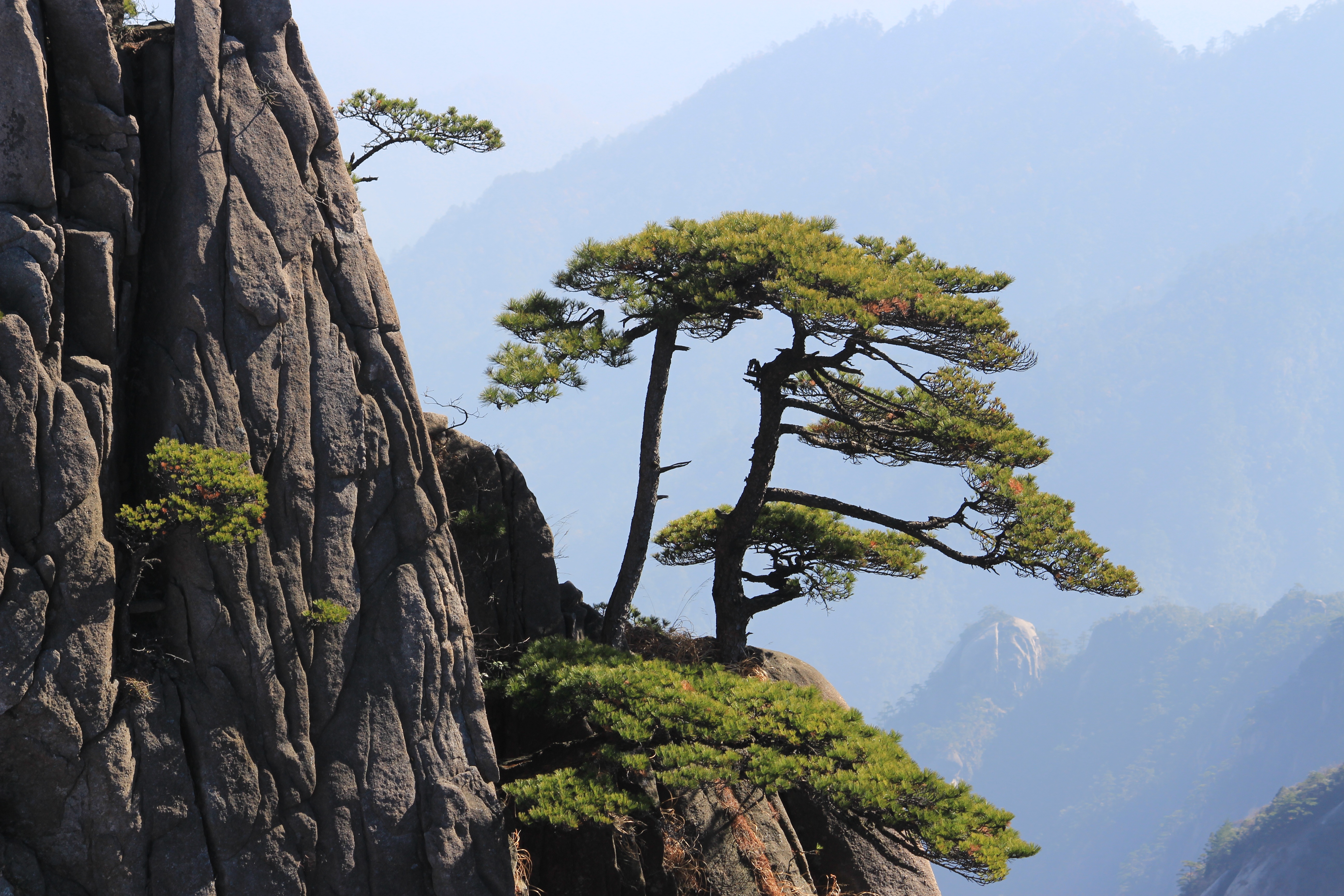 china, cliff, formation, tree, no people, environment, low angle view, plant, growth, asia, landscape, mountain peak, scenics - nature, 5K, mountain range, HD Wallpaper