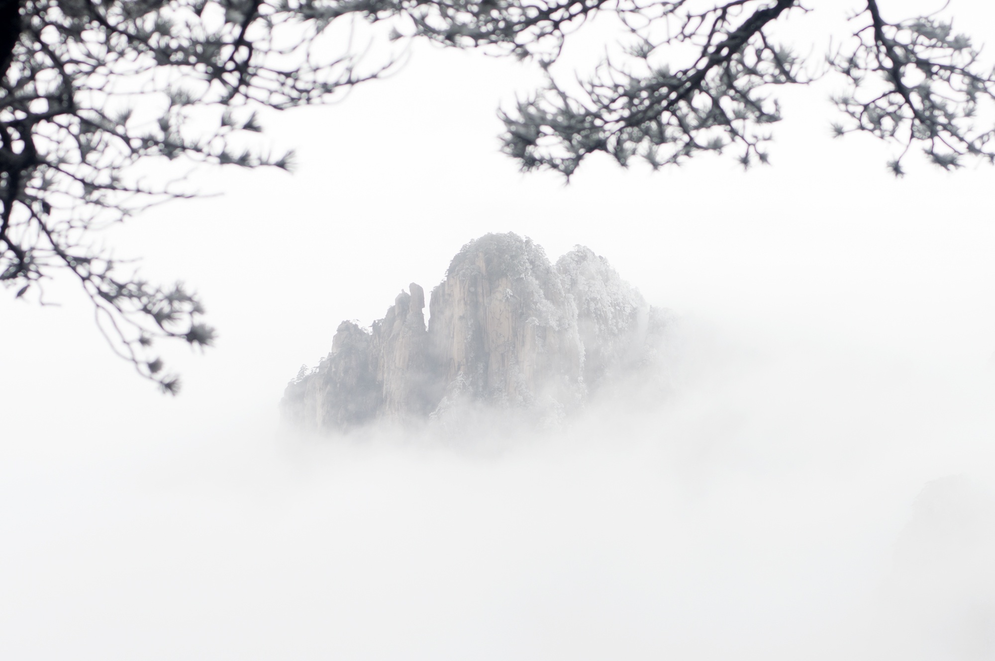 no people, non-urban scene, scenics - nature, cold temperature, day, winter, forest, tranquility, a surname mist, environment, snow, fog, nature, mountain, HD Wallpaper
