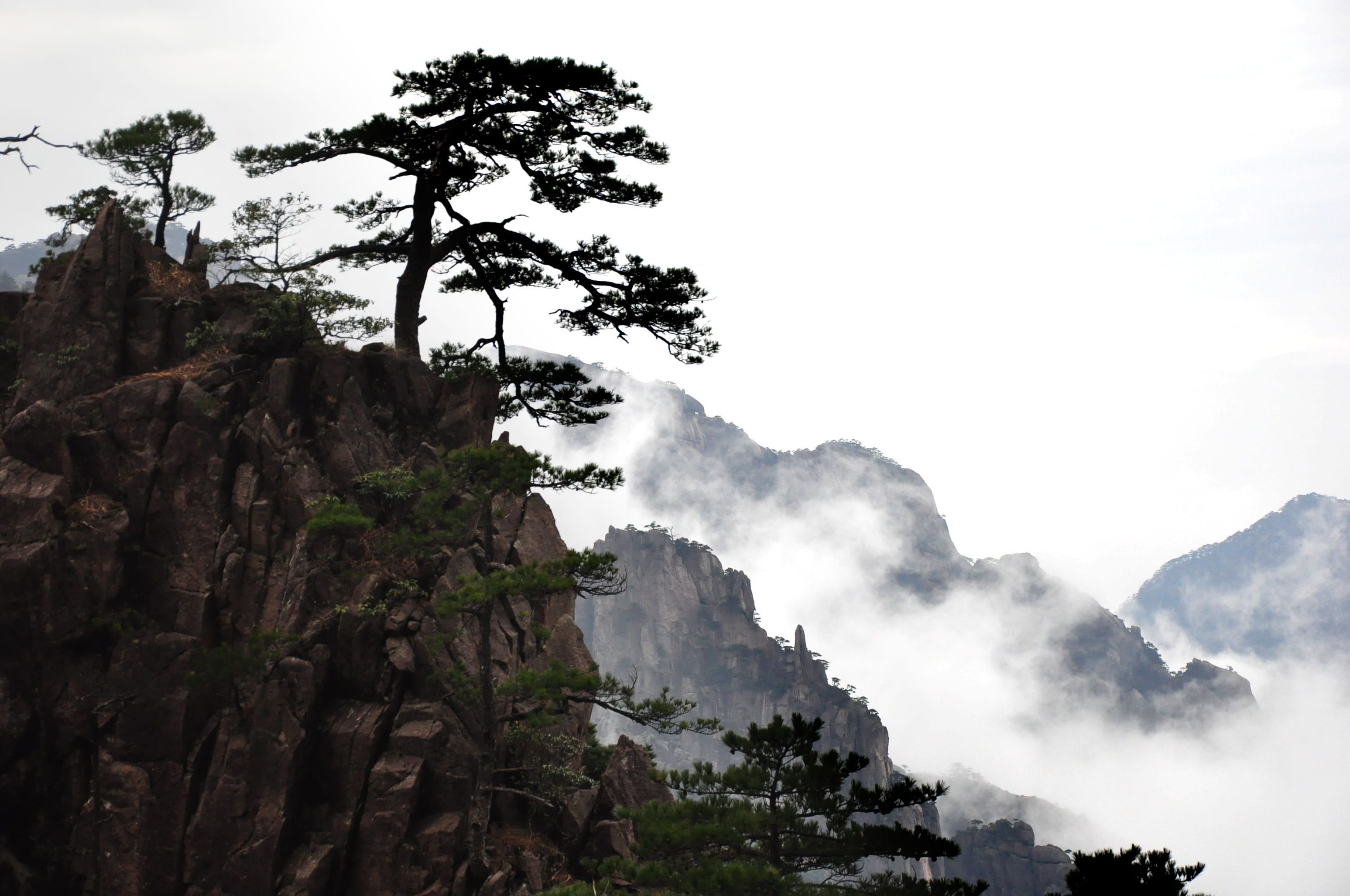 artistic conception, fog, growth, sky, trees, low angle view, tranquil scene, non-urban scene, natural, china, formation, tranquility, black and white, HD Wallpaper