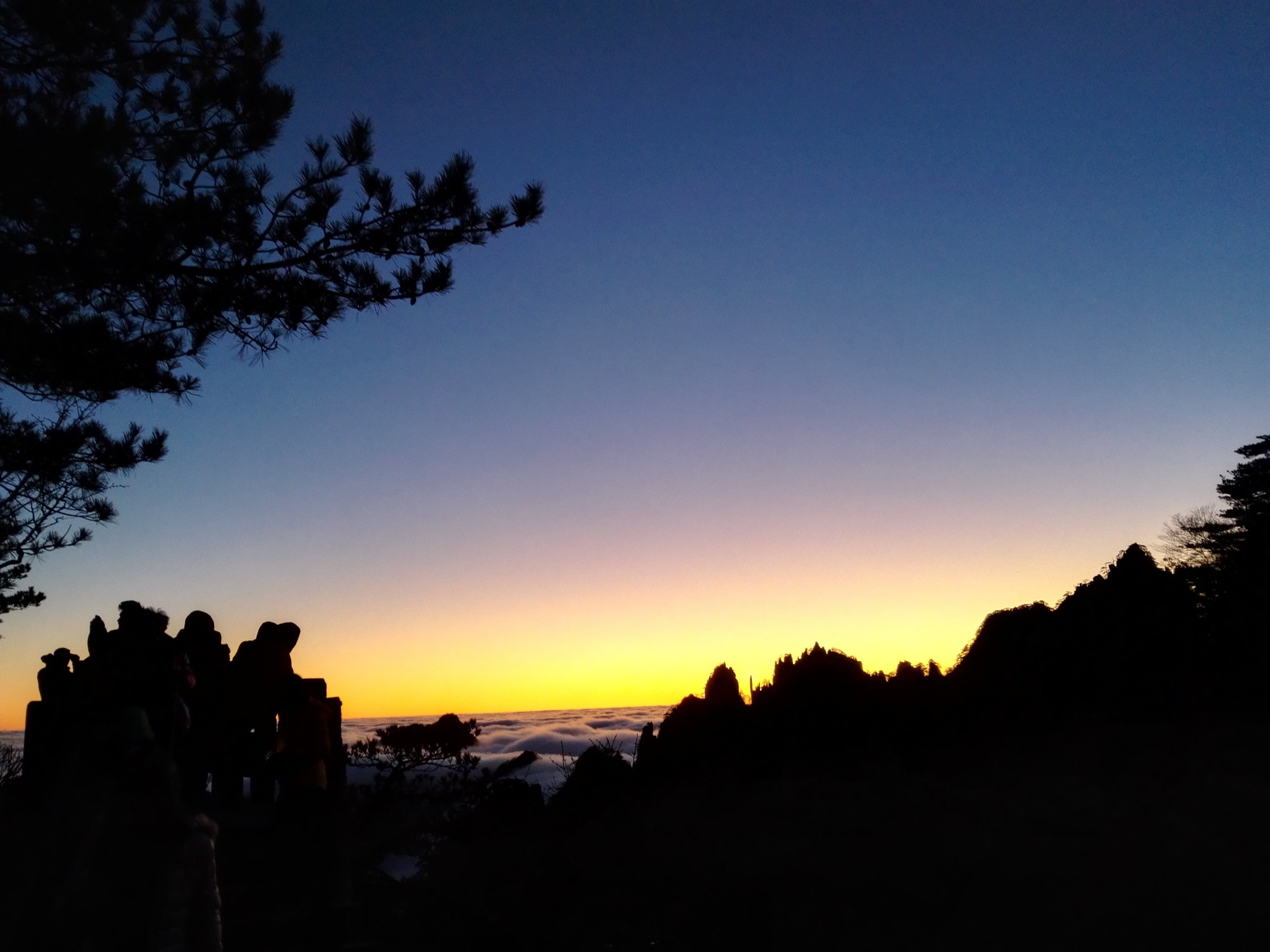 2K, idyllic, tree, tranquil scene, scenics - nature, china sights, anhui, orange color, landscape, mountain huangshan, silhouette, clear sky, tranquility, HD Wallpaper