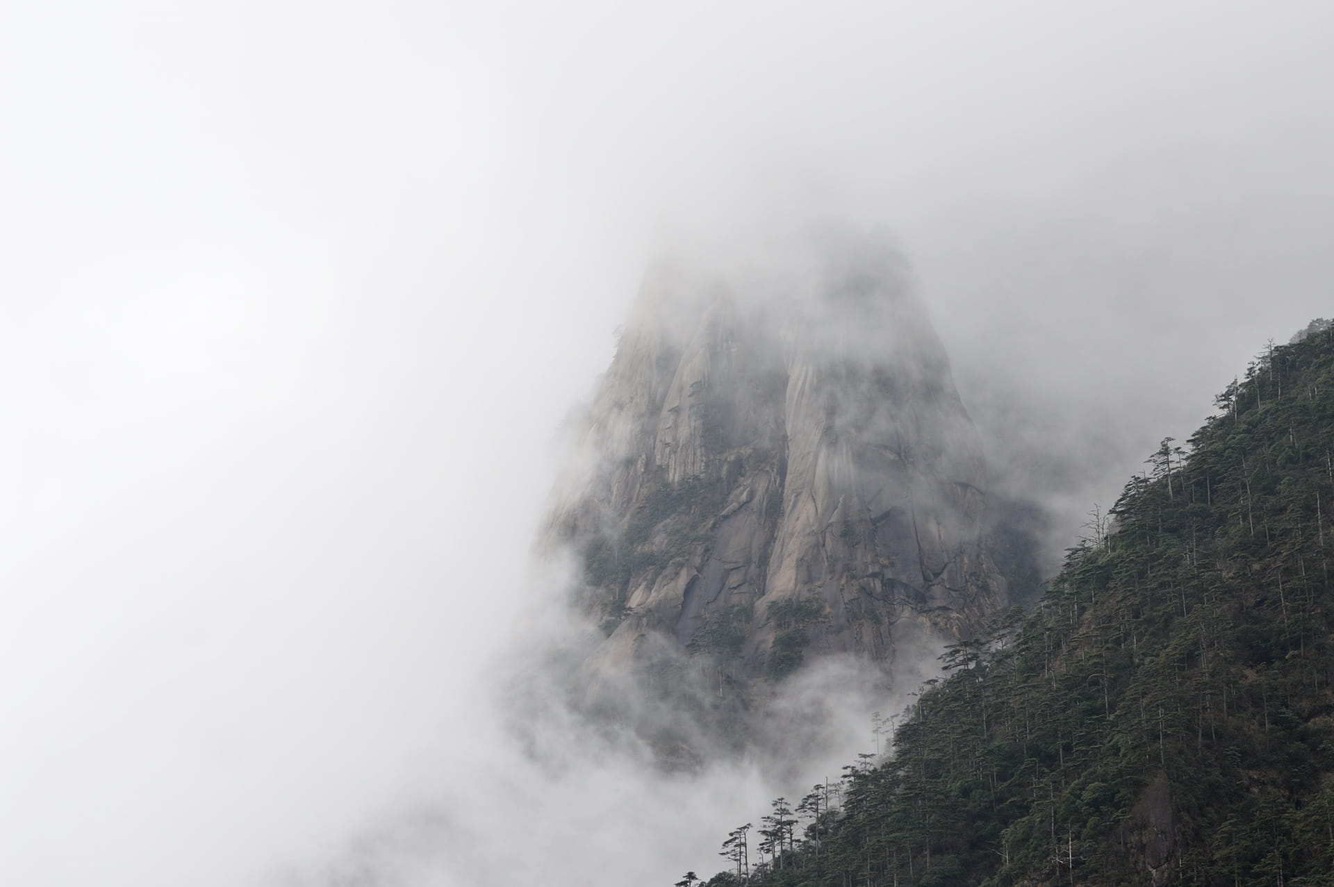 mountain, copy space, environment, mountains, outdoors, mountain peak, a surname mist, nature, tranquil scene, cloud - sky, sky, formation, tree, fog, idyllic, HD Wallpaper