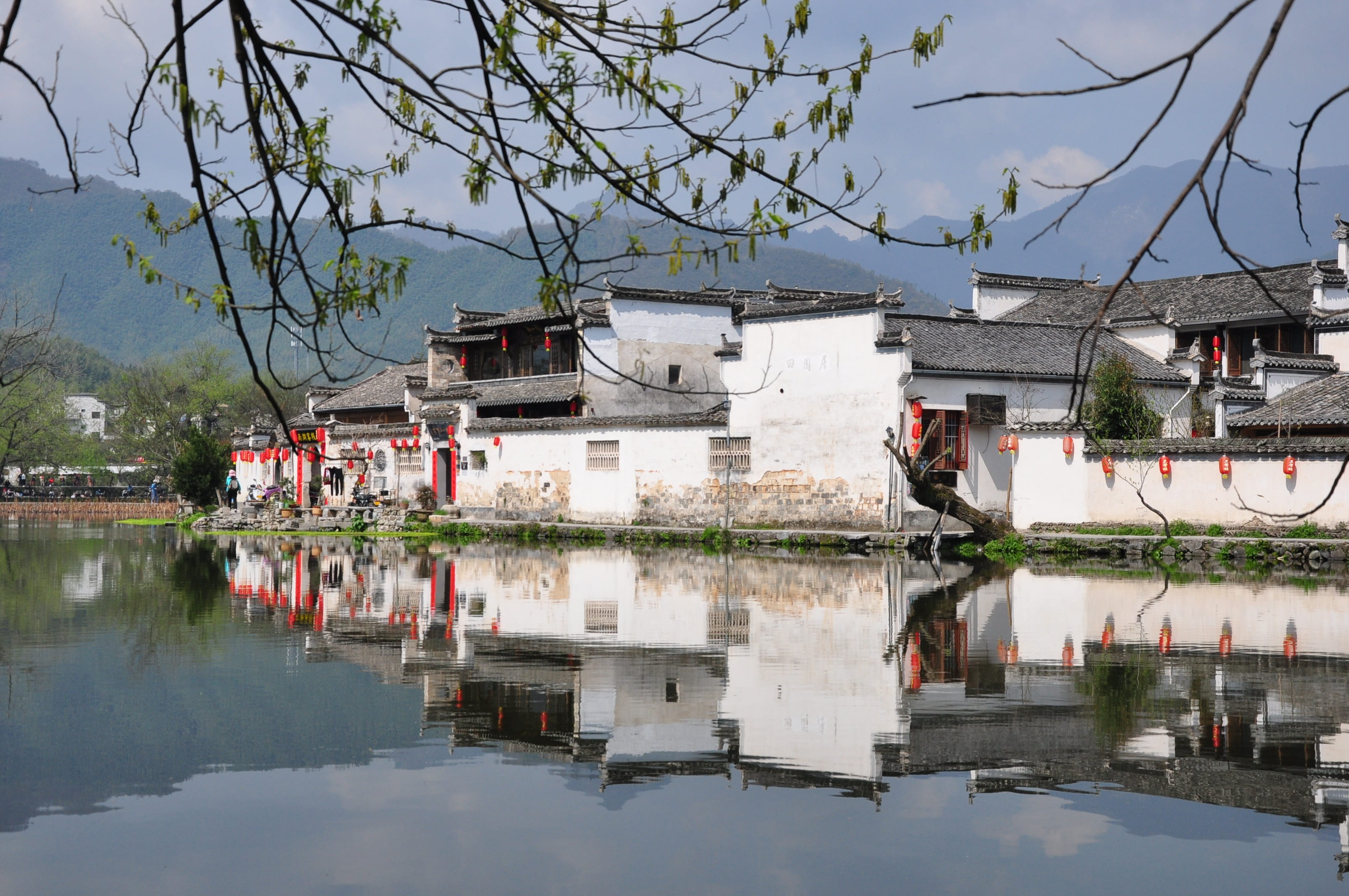 tree, symmetry, tourism, waters, branch, the scenery, the old house, house, reflection, building exterior, architecture, outdoors, views, hongcun village, HD Wallpaper