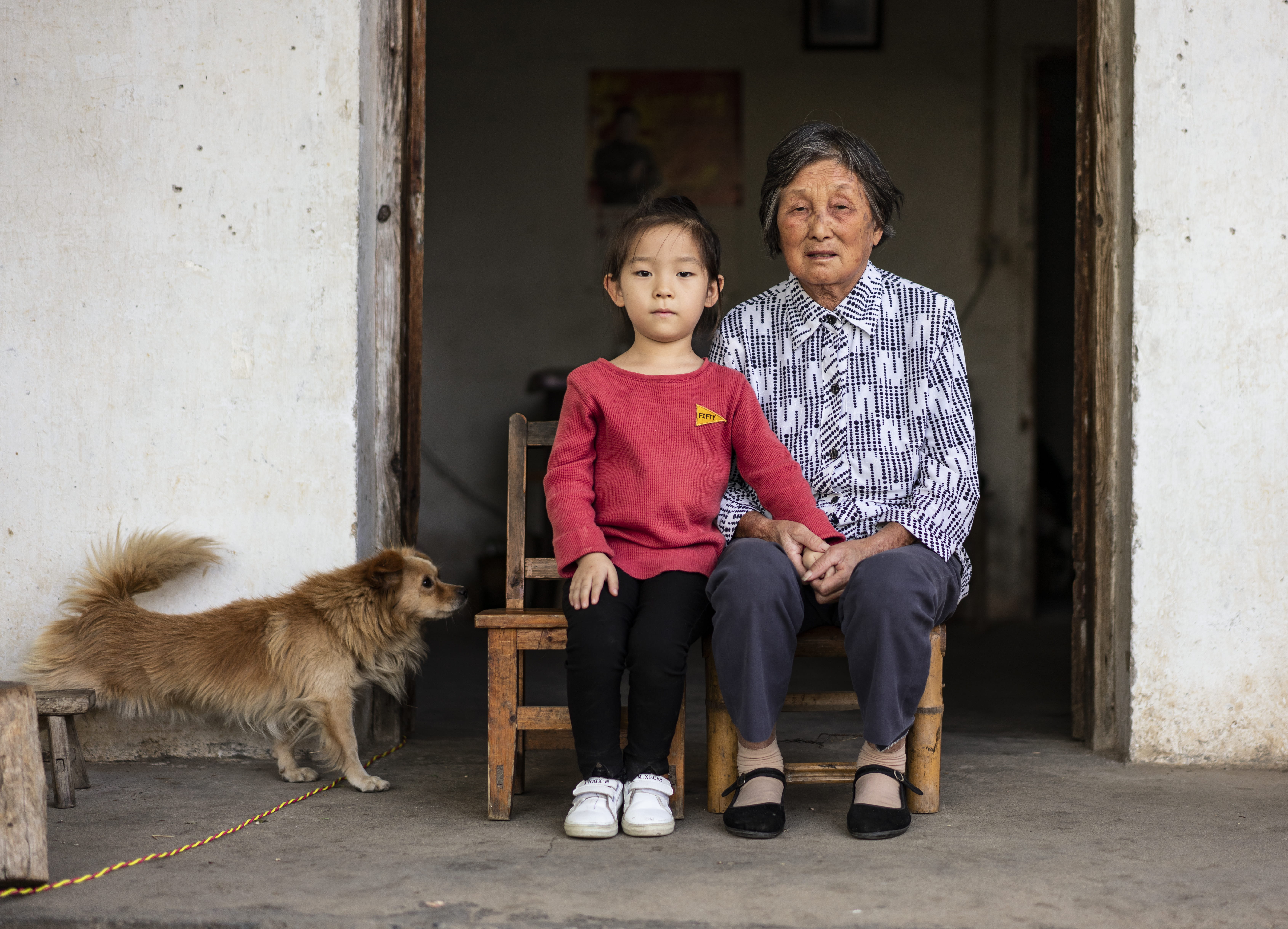 5K, domestic animals, anhui,anqing, mammal, emotion, domestic, footwear, grandchild, shoe, other / none, dog, senior adult, grandmother, girl, 中国, woman, HD Wallpaper