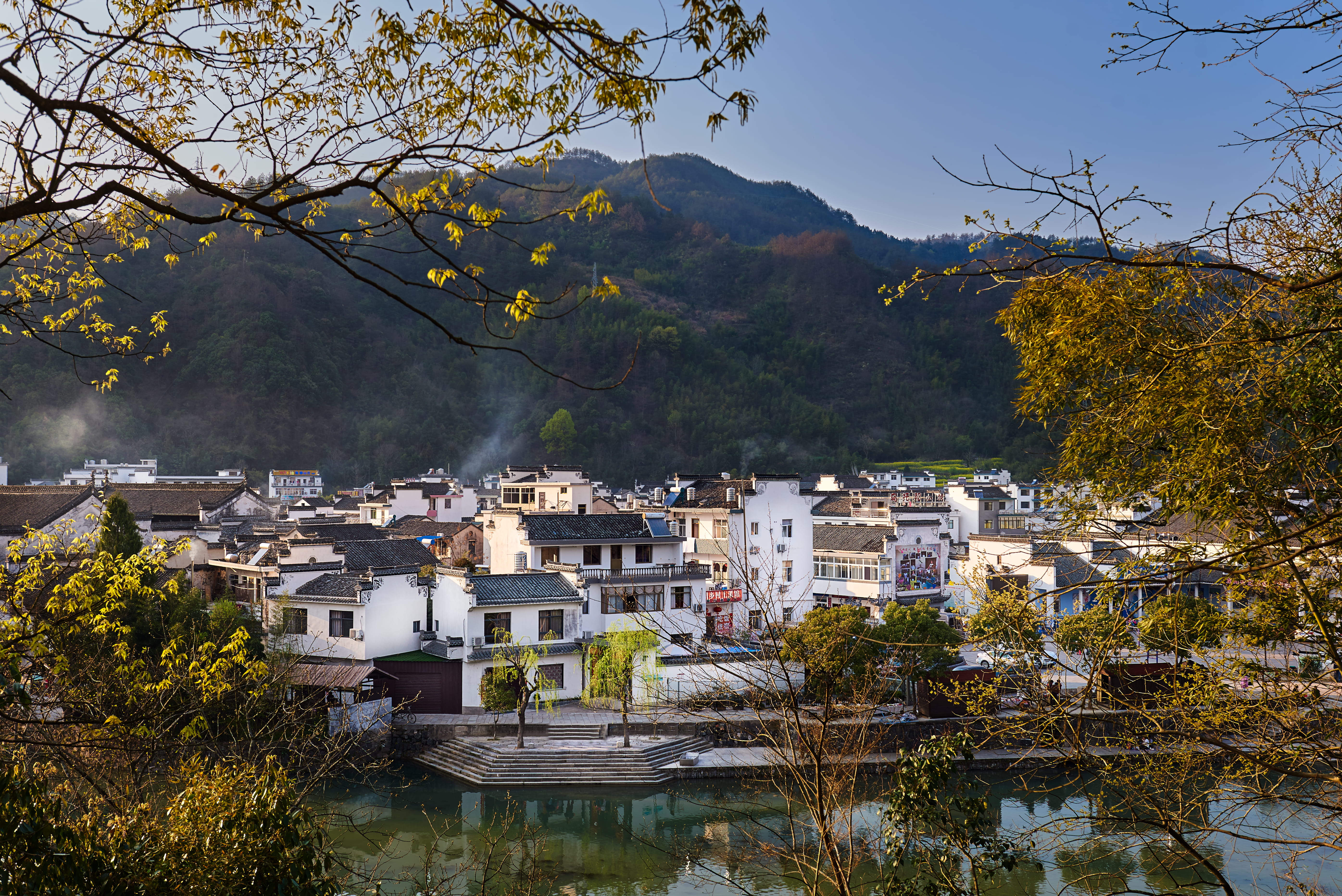 autumn, town, townscape, tree, building, city, land, built structure, building exterior, outdoors, no people, architecture, house, residential district, HD Wallpaper