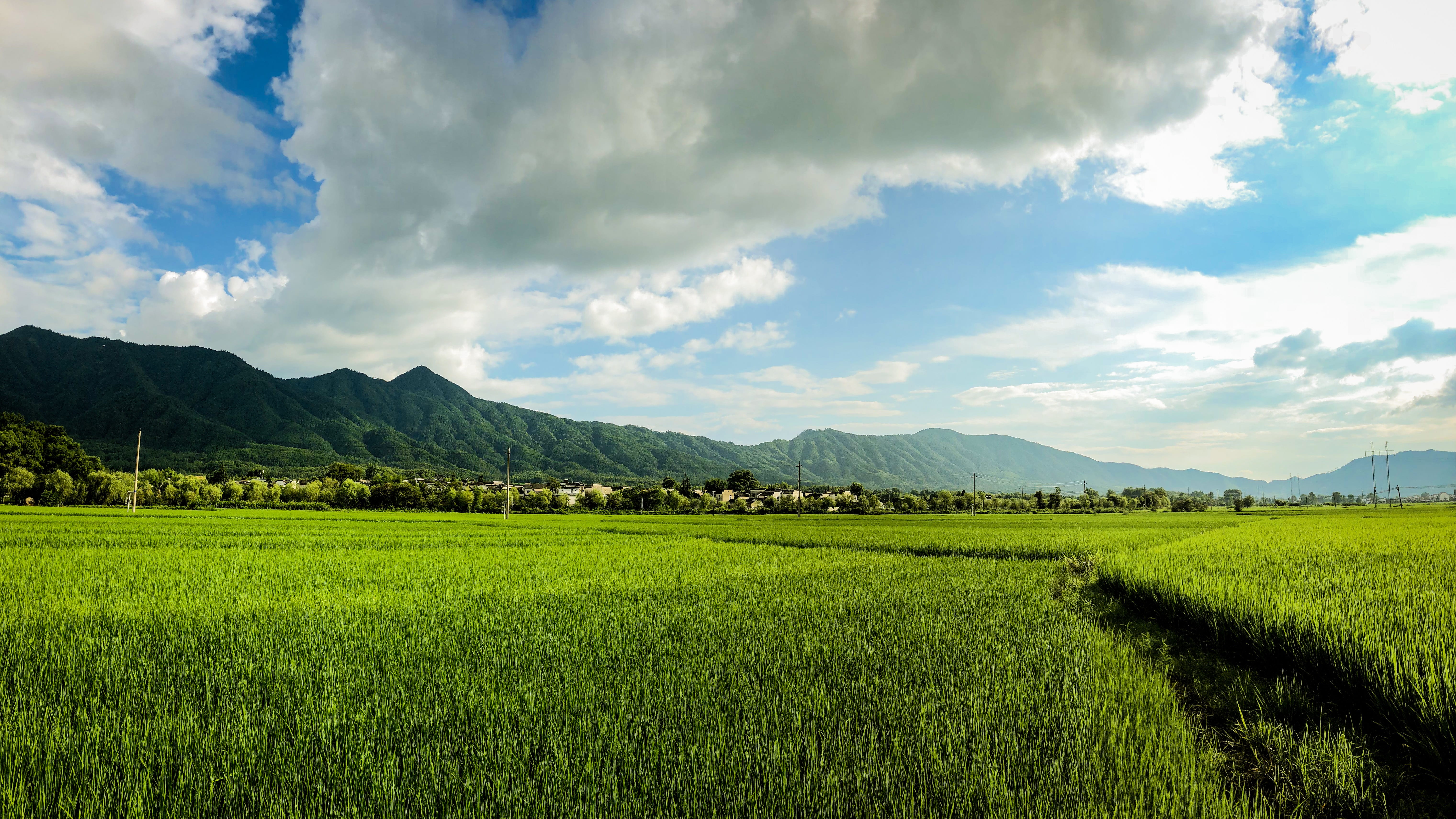 mountain, tranquility, crop, plant, mountain range, farm, nature, green color, 5K, environment, scenics - nature, plantation, sky, no people, anhui, growth, HD Wallpaper