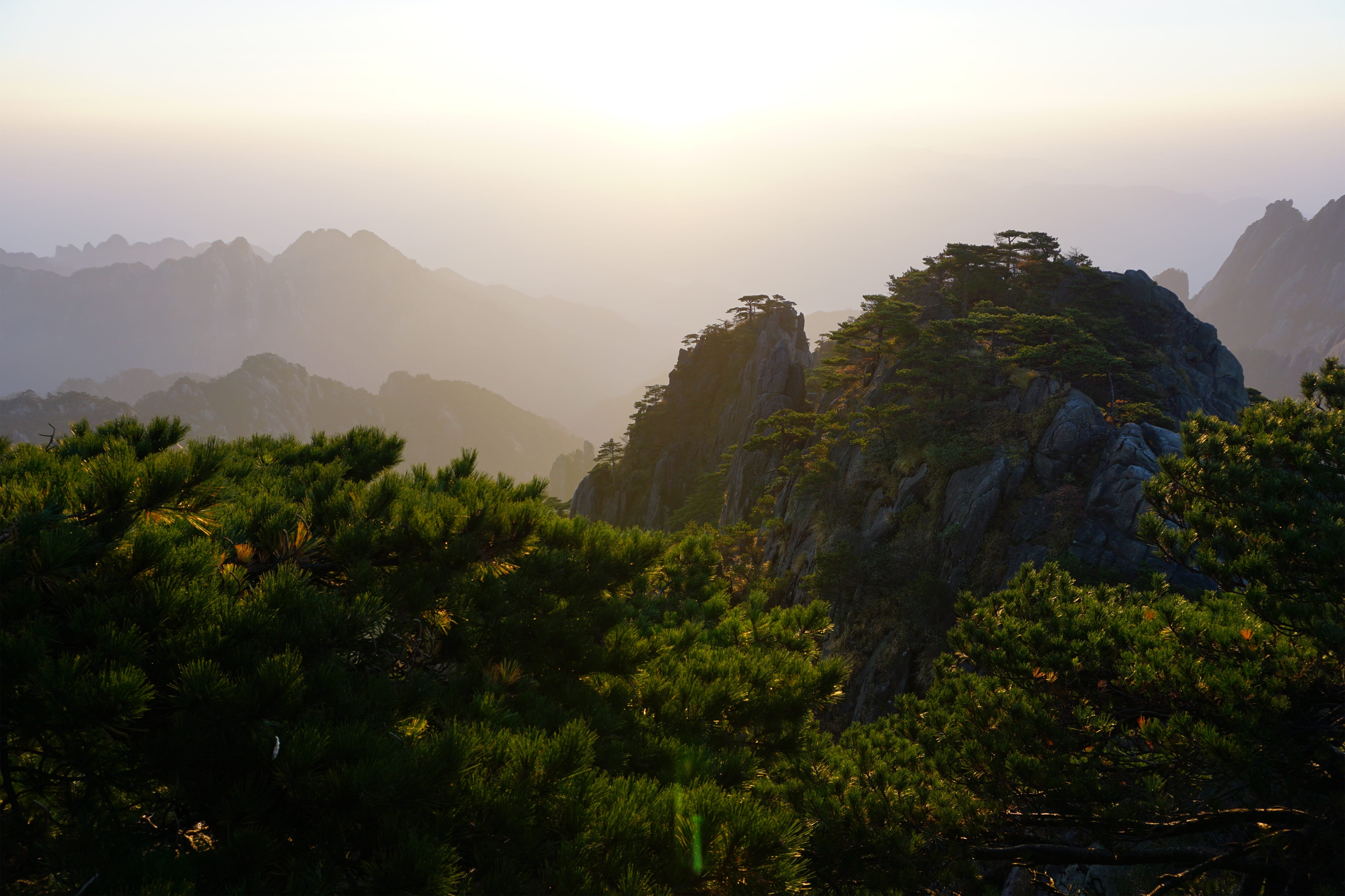 fog, no people, huangshan, non-urban scene, environment, peak, landscape, outdoors, remote, tranquil scene, growth, mountain peak, trees, tranquility, nature, HD Wallpaper