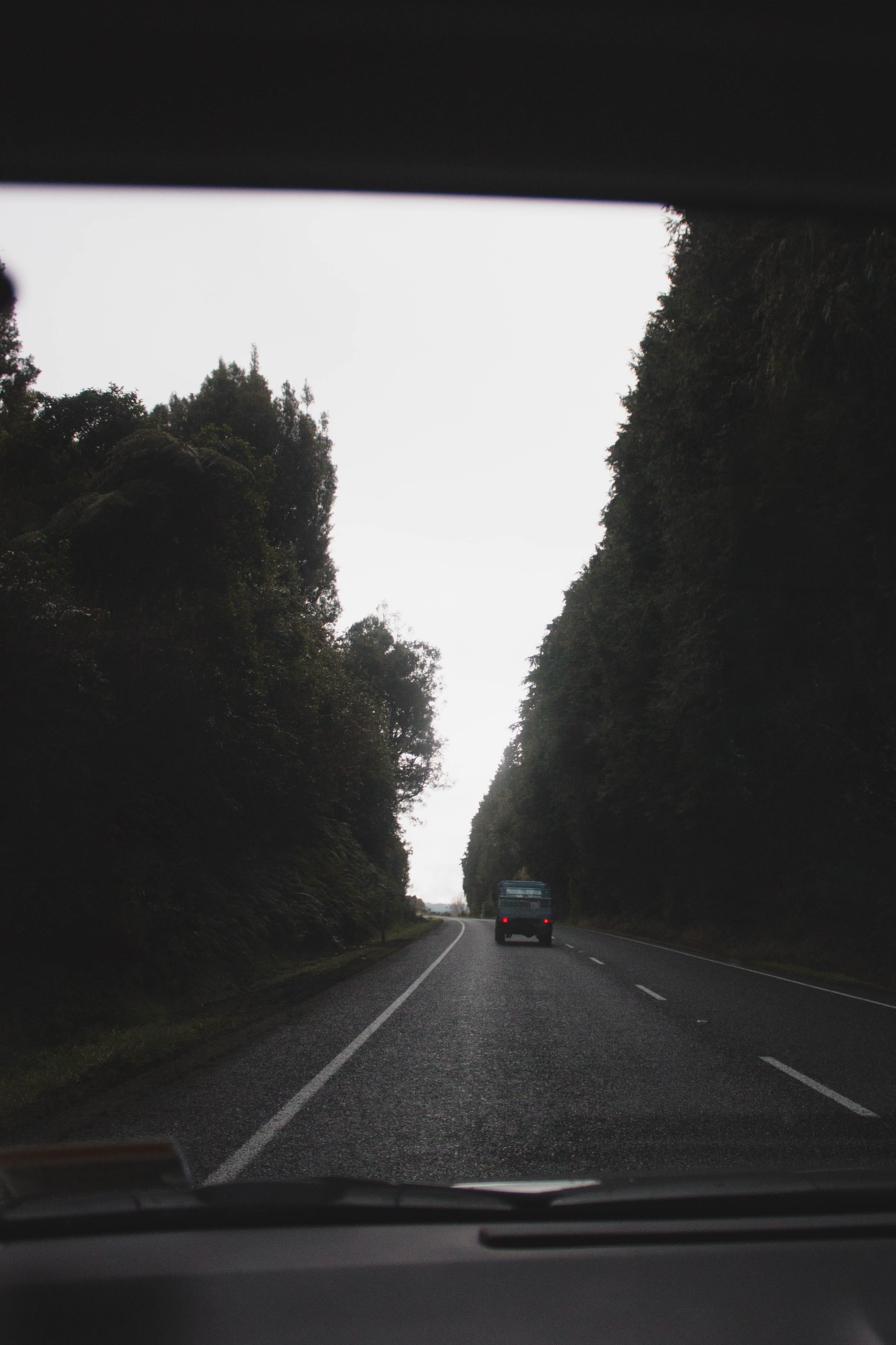 tree, plant, windshield, no people, road trip, transparent, mt ruapehu, sky, trees, on the move, car point of view, new zealand, mode of transportation, Phone HD Wallpaper